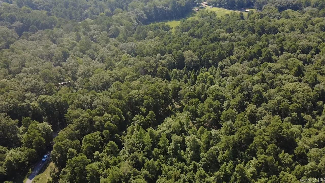 43 Hughbanks Hollow Property Photo 4