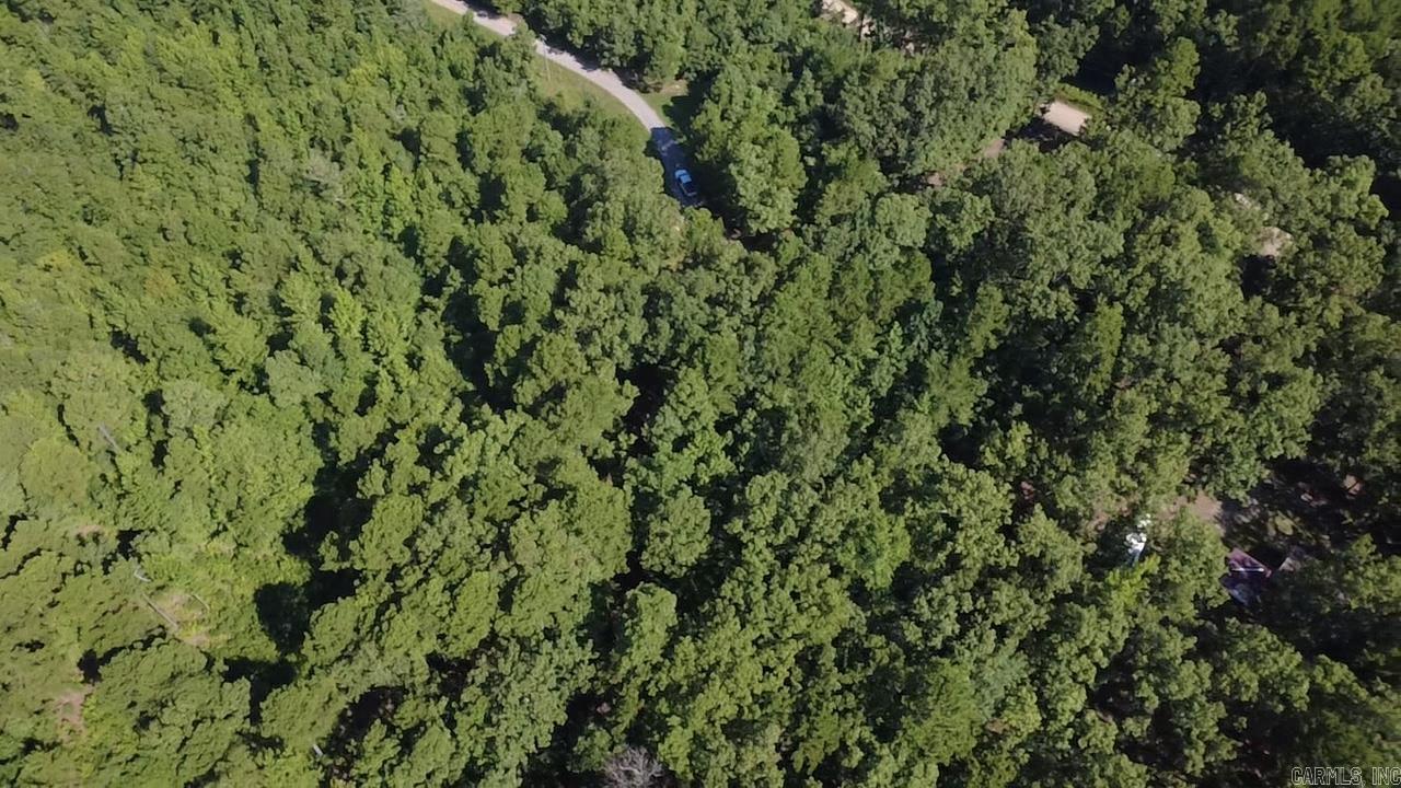 43 Hughbanks Hollow Property Photo 8