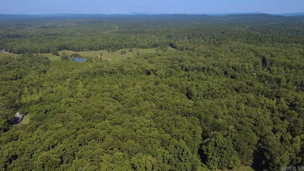 43 Hughbanks Hollow Property Photo 10