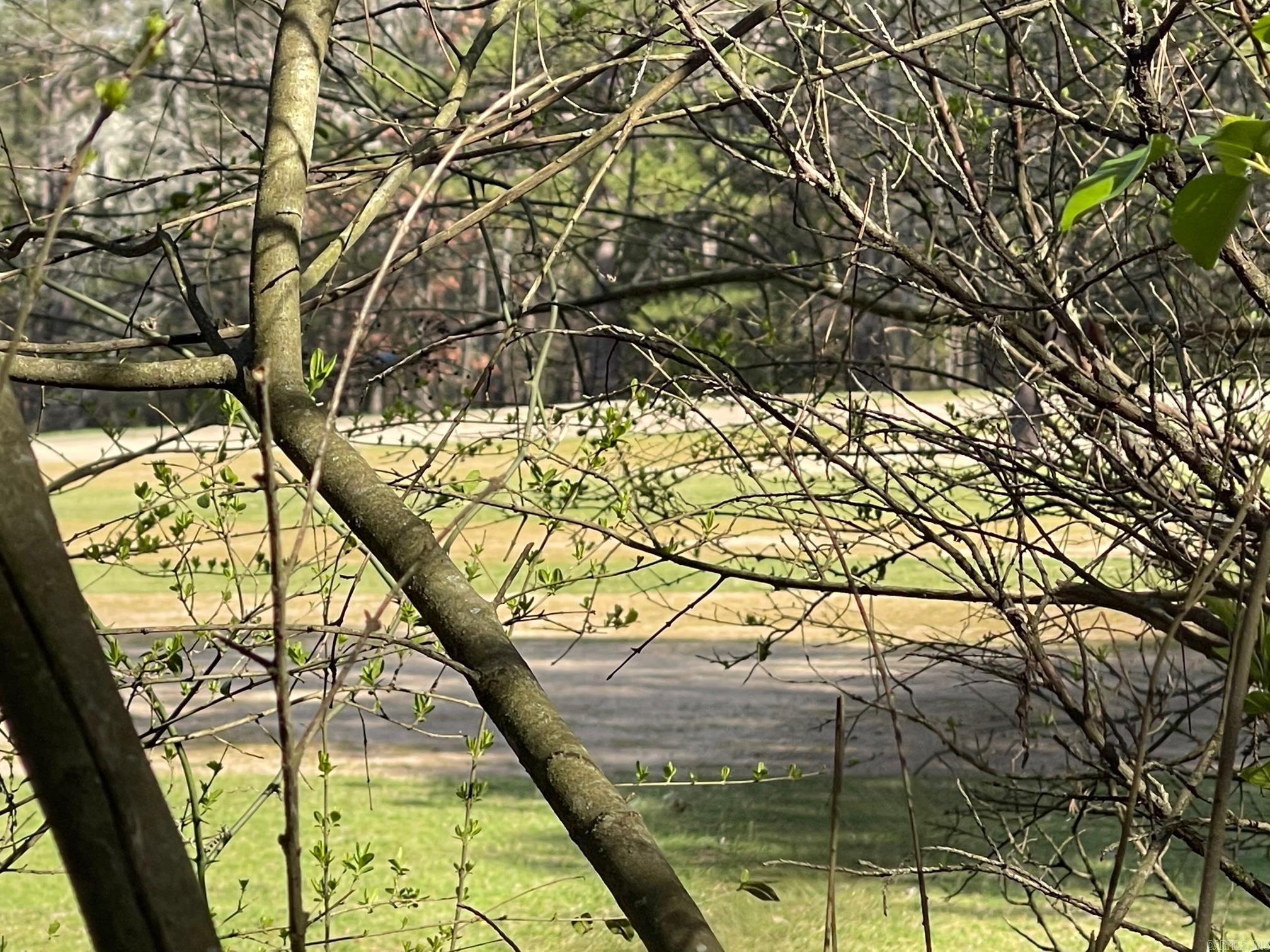 Lot 152 Mountain Ranch Drive Property Photo 1