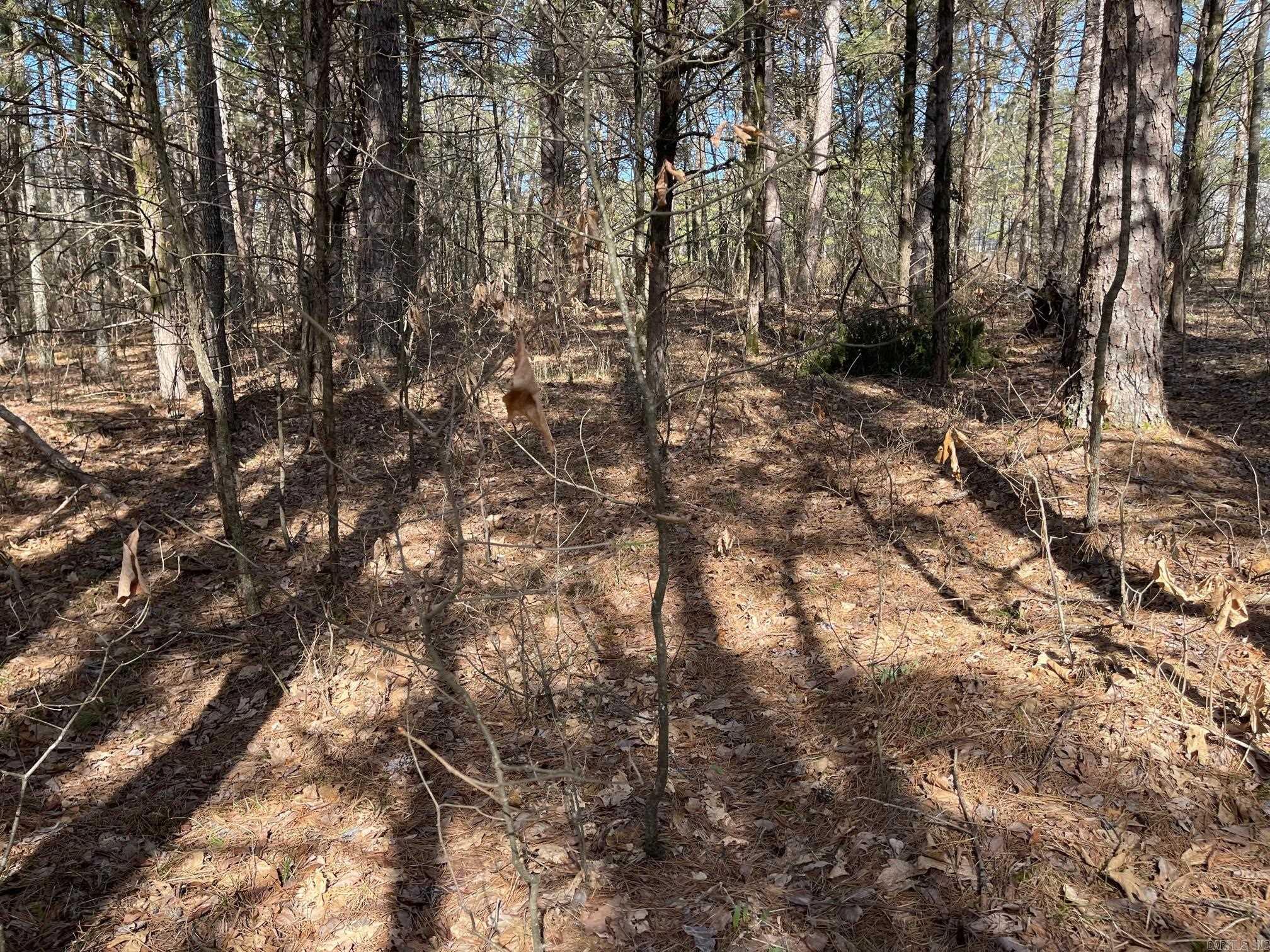Lot 152 Mountain Ranch Drive Property Photo 2