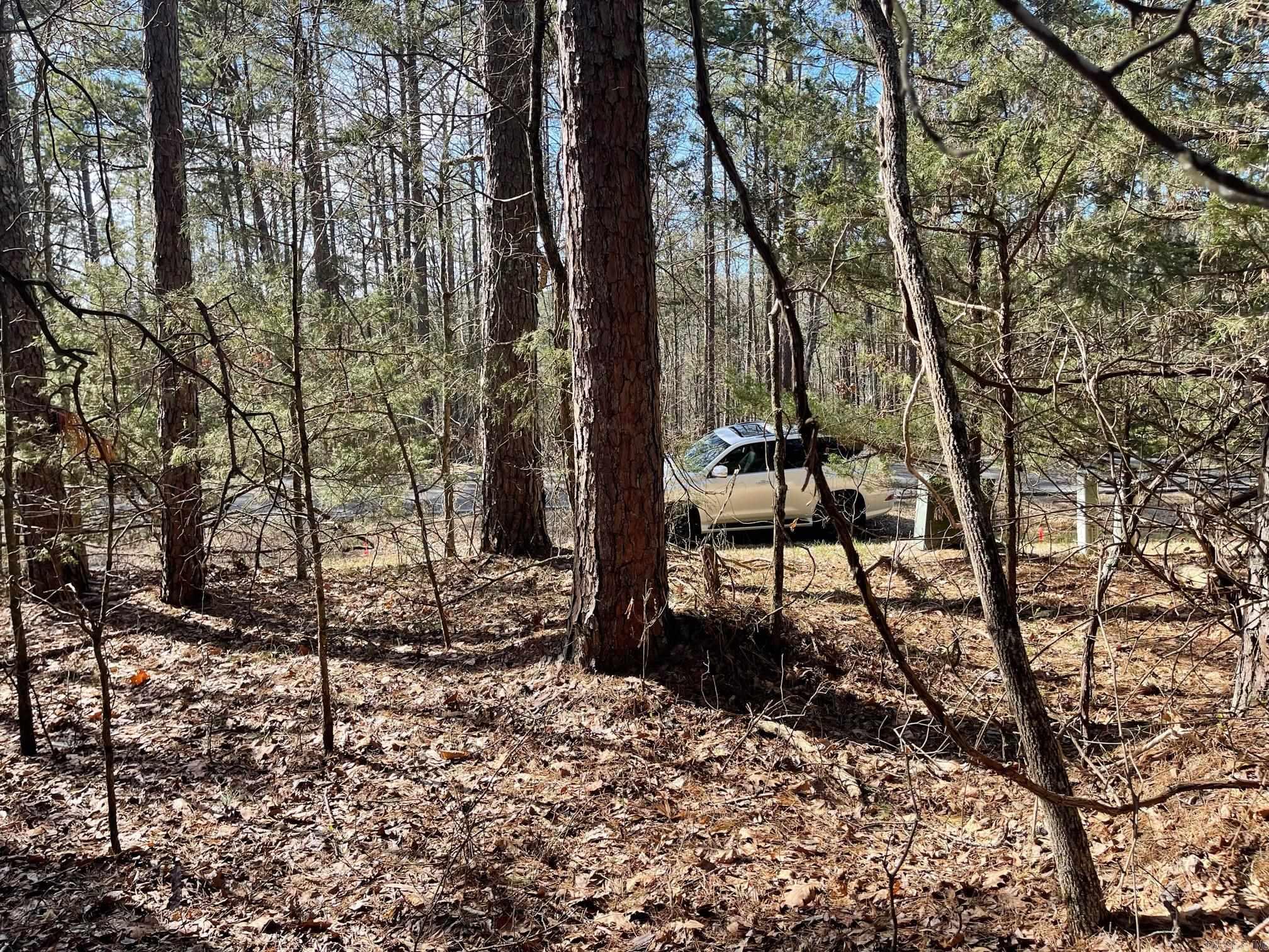 Lot 152 Mountain Ranch Drive Property Photo 4