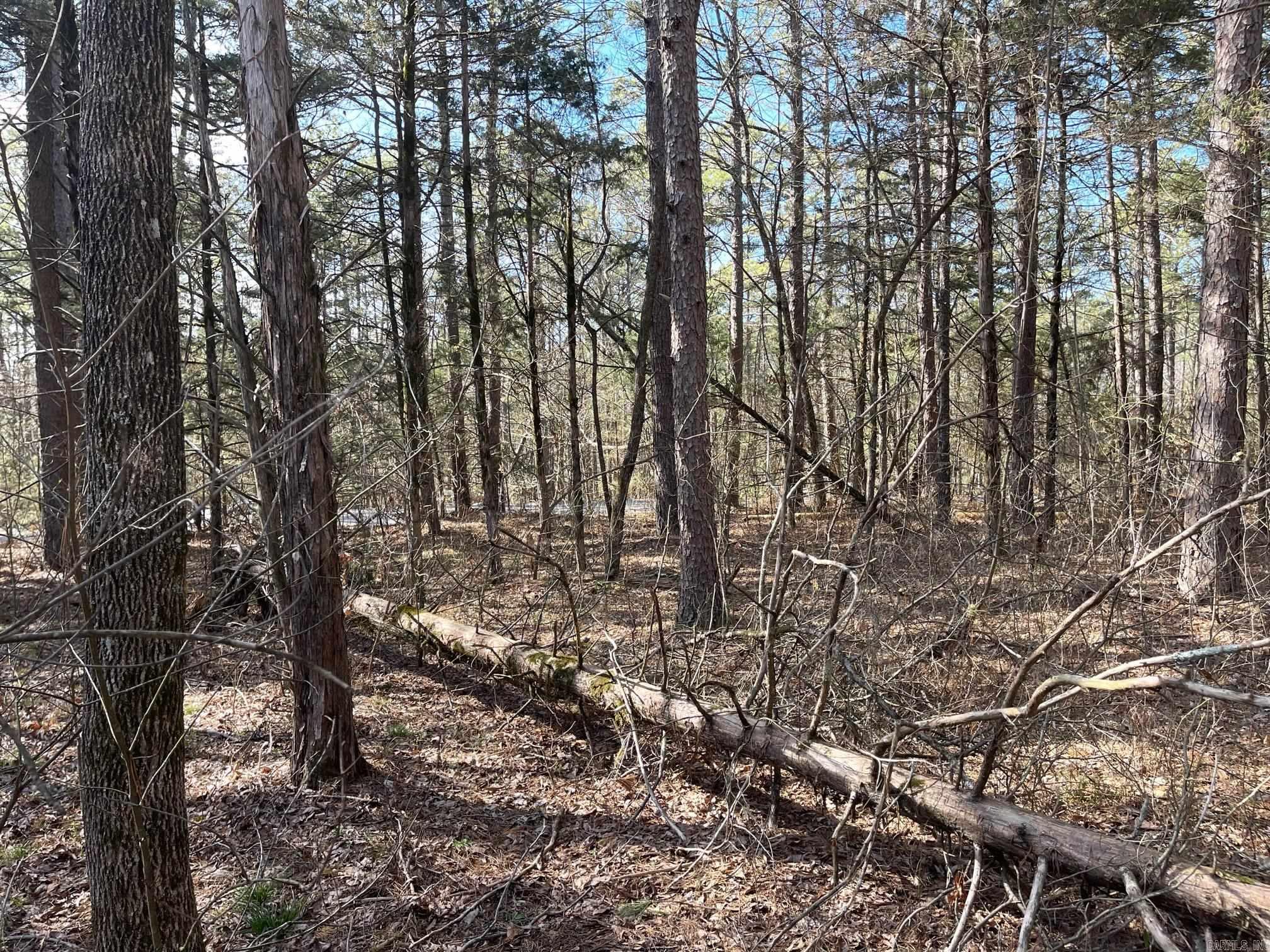 Lot 152 Mountain Ranch Drive Property Photo 6