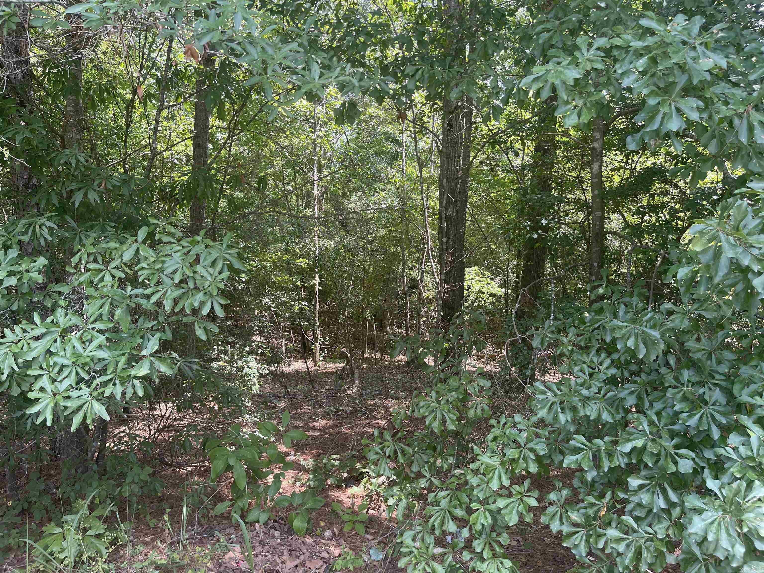 Ethel Road Property Photo 2