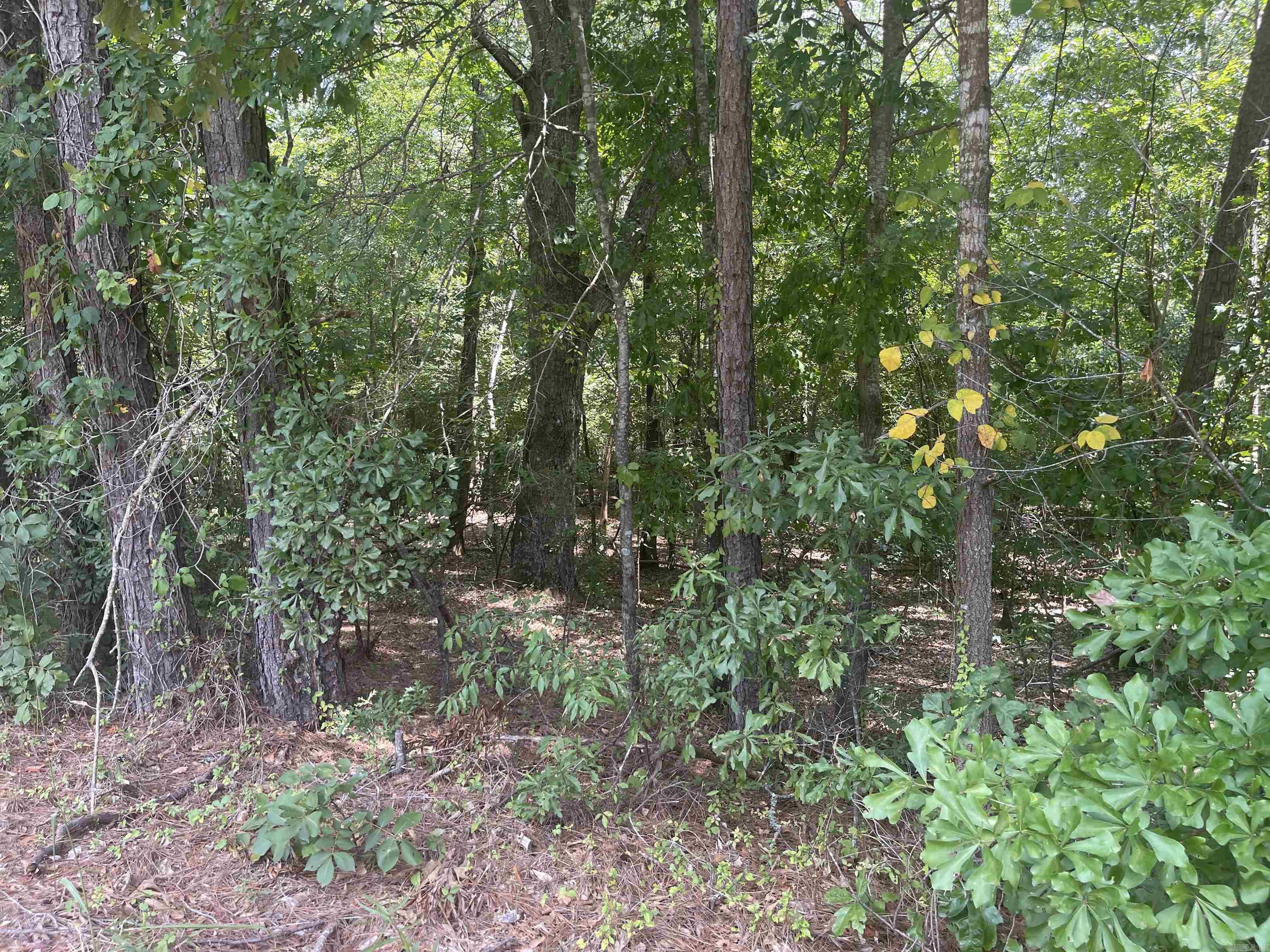 Ethel Road Property Photo 3