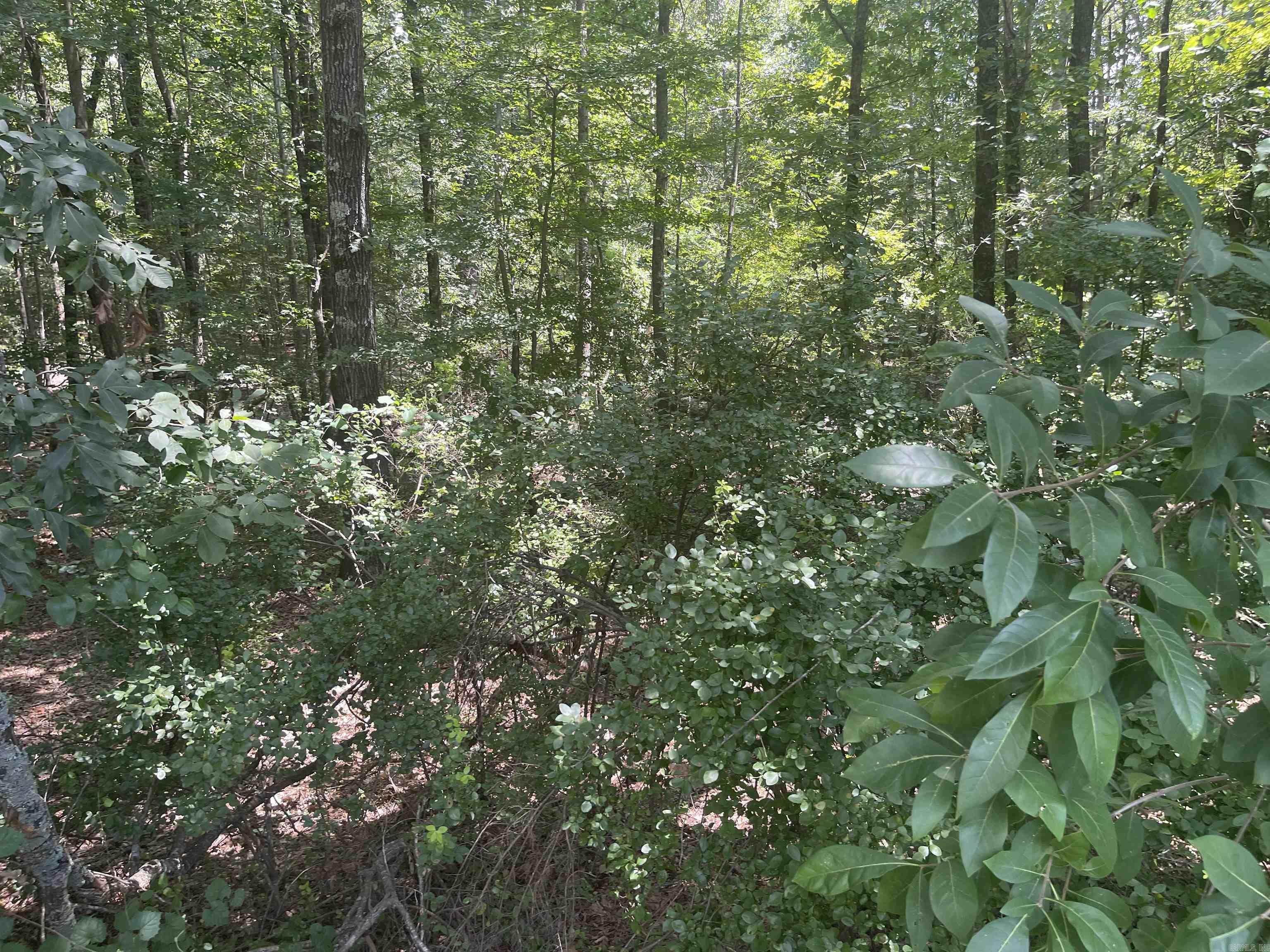Ethel Road Property Photo 4