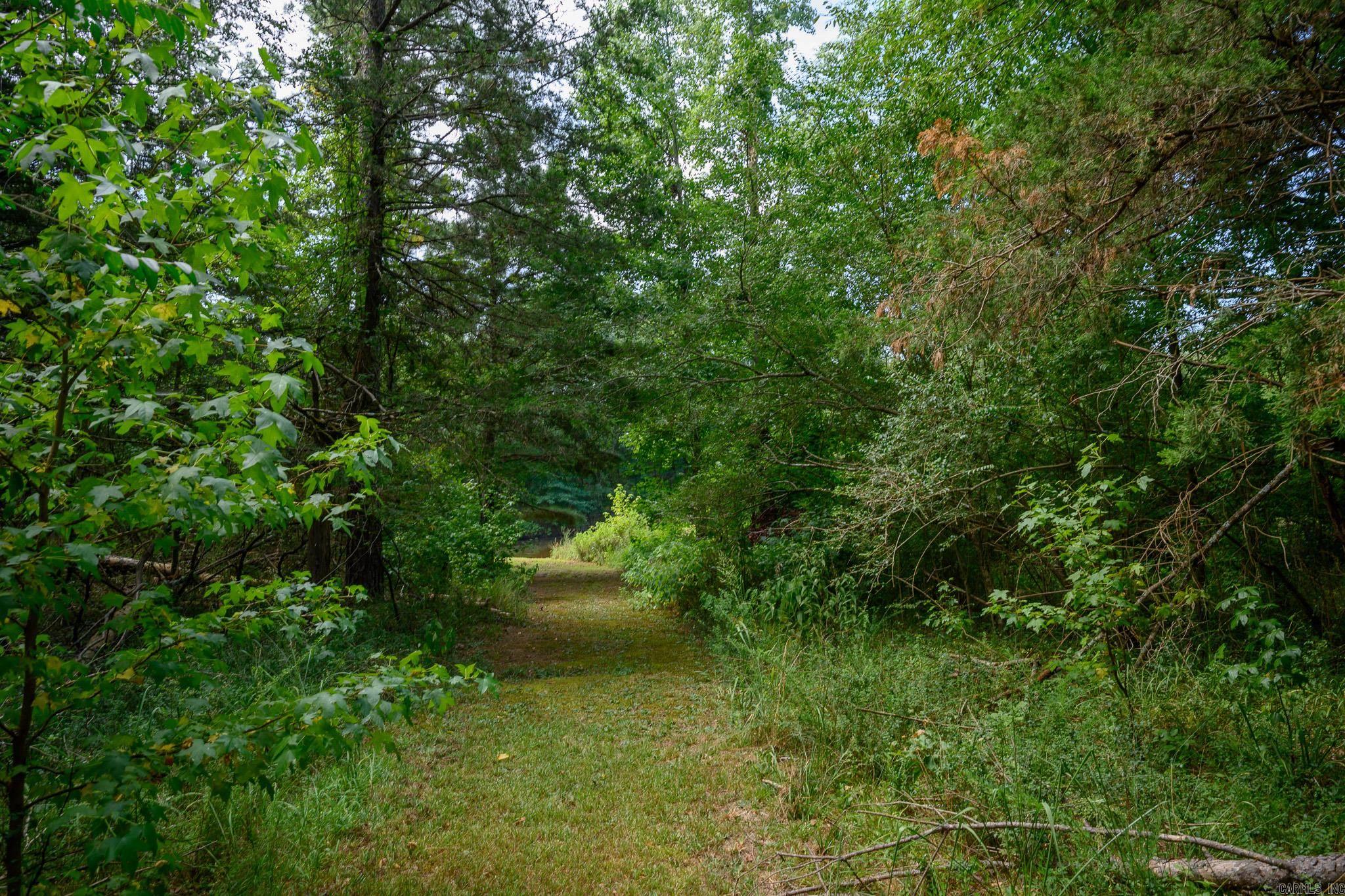 4050 Highway 71 Property Photo 31