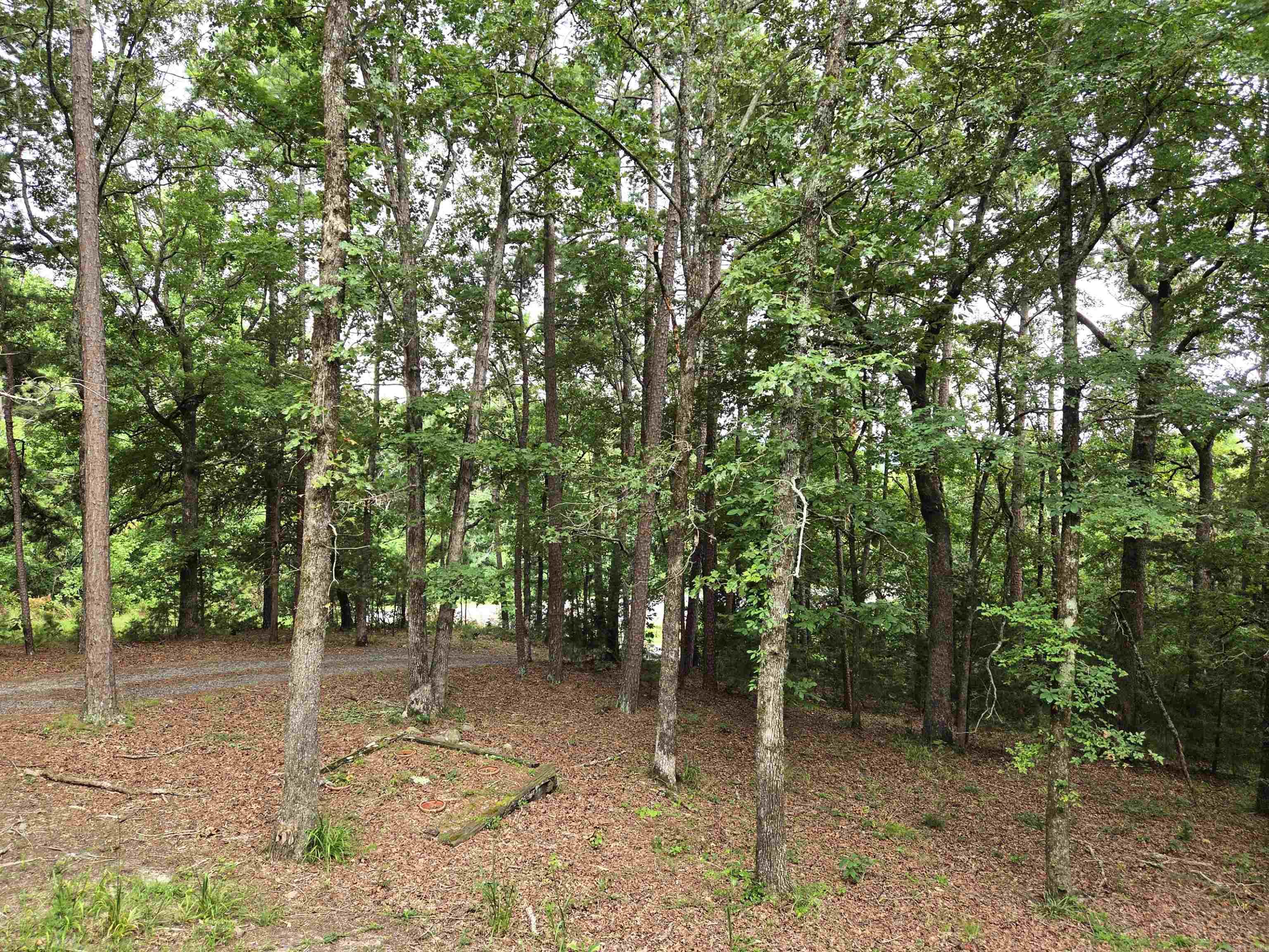 4014 Hwy 71 S Property Photo 2