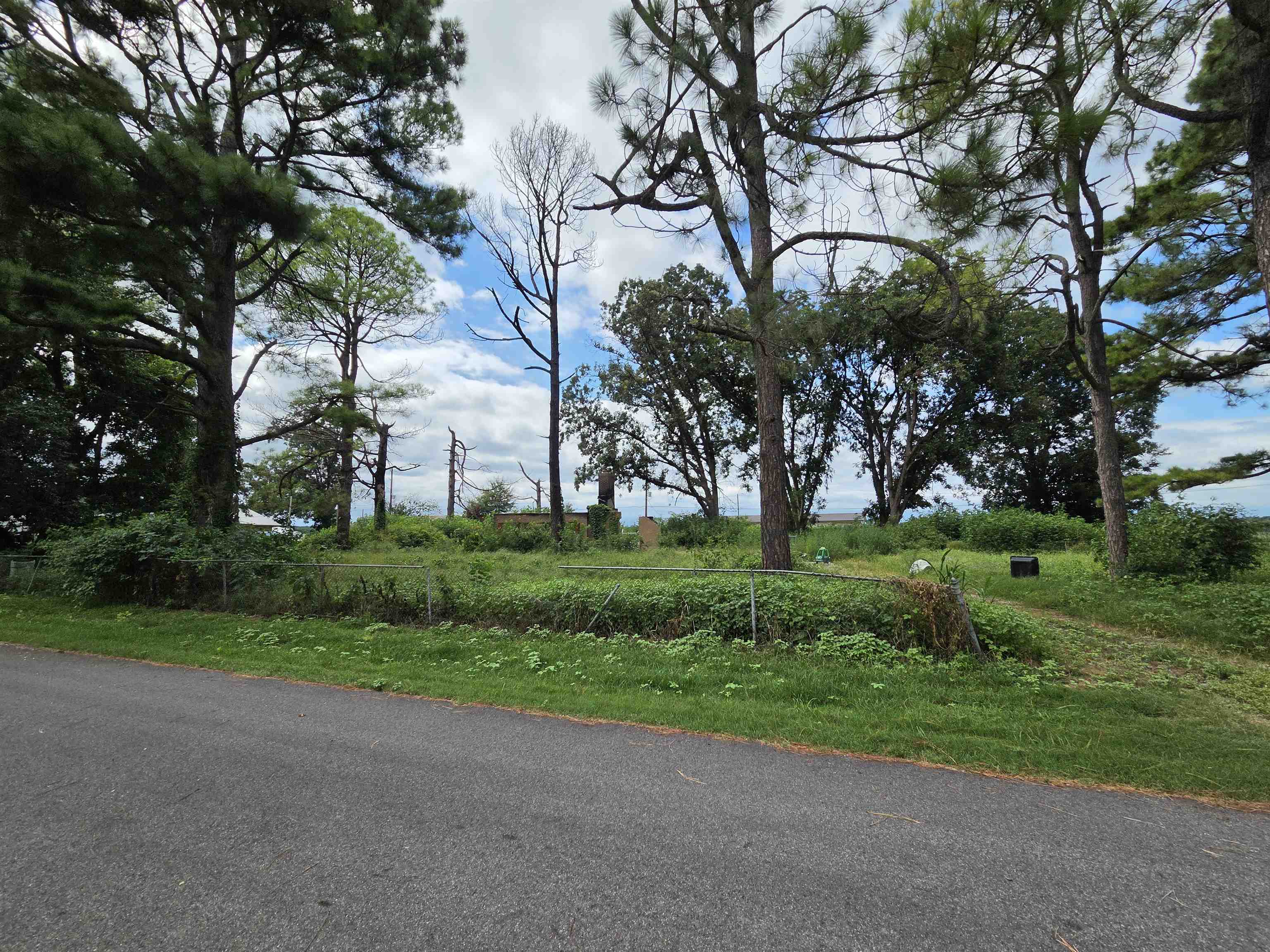 3203 Opal Street Property Photo 2