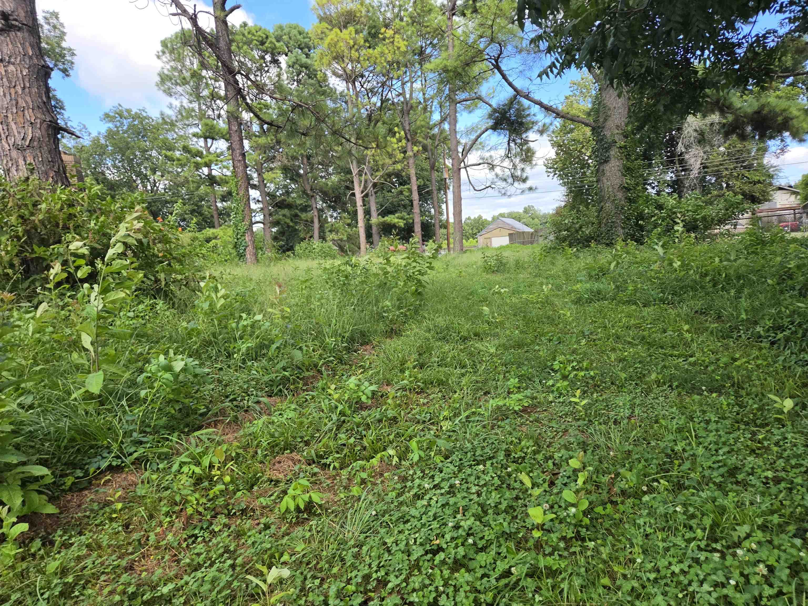 3203 Opal Street Property Photo 3