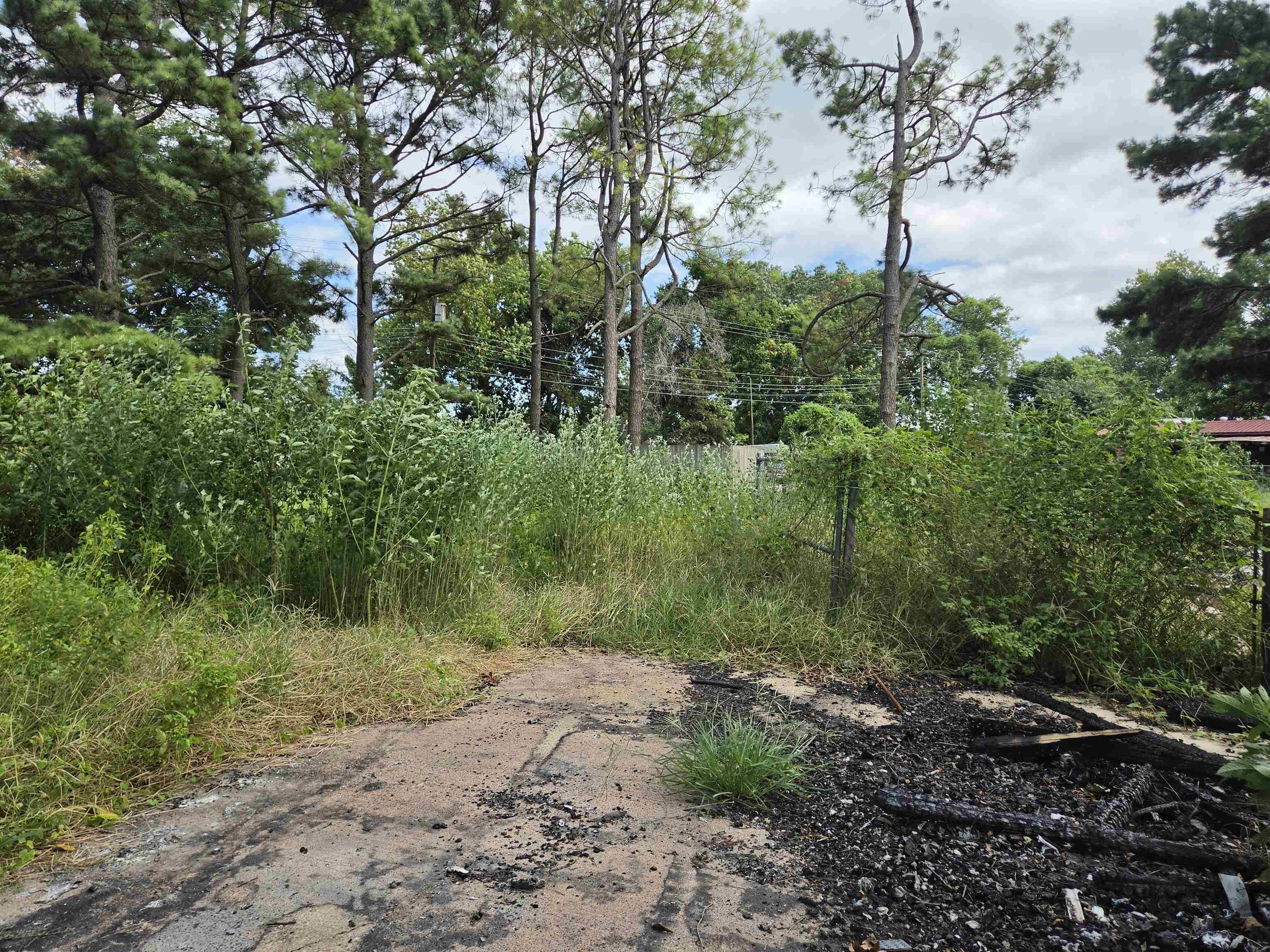3203 Opal Street Property Photo 10