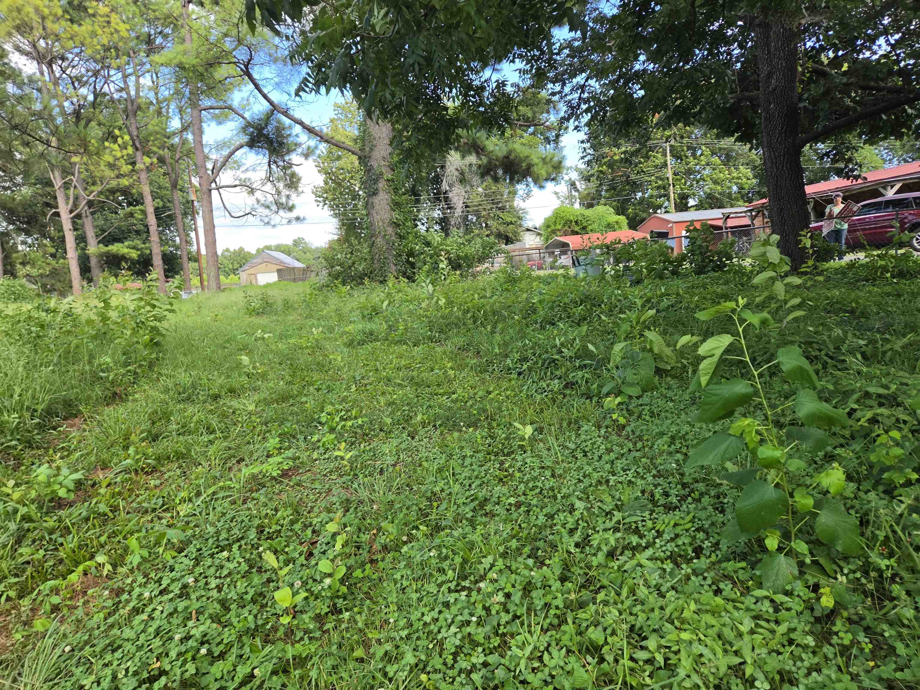 3203 Opal Street Property Photo 13