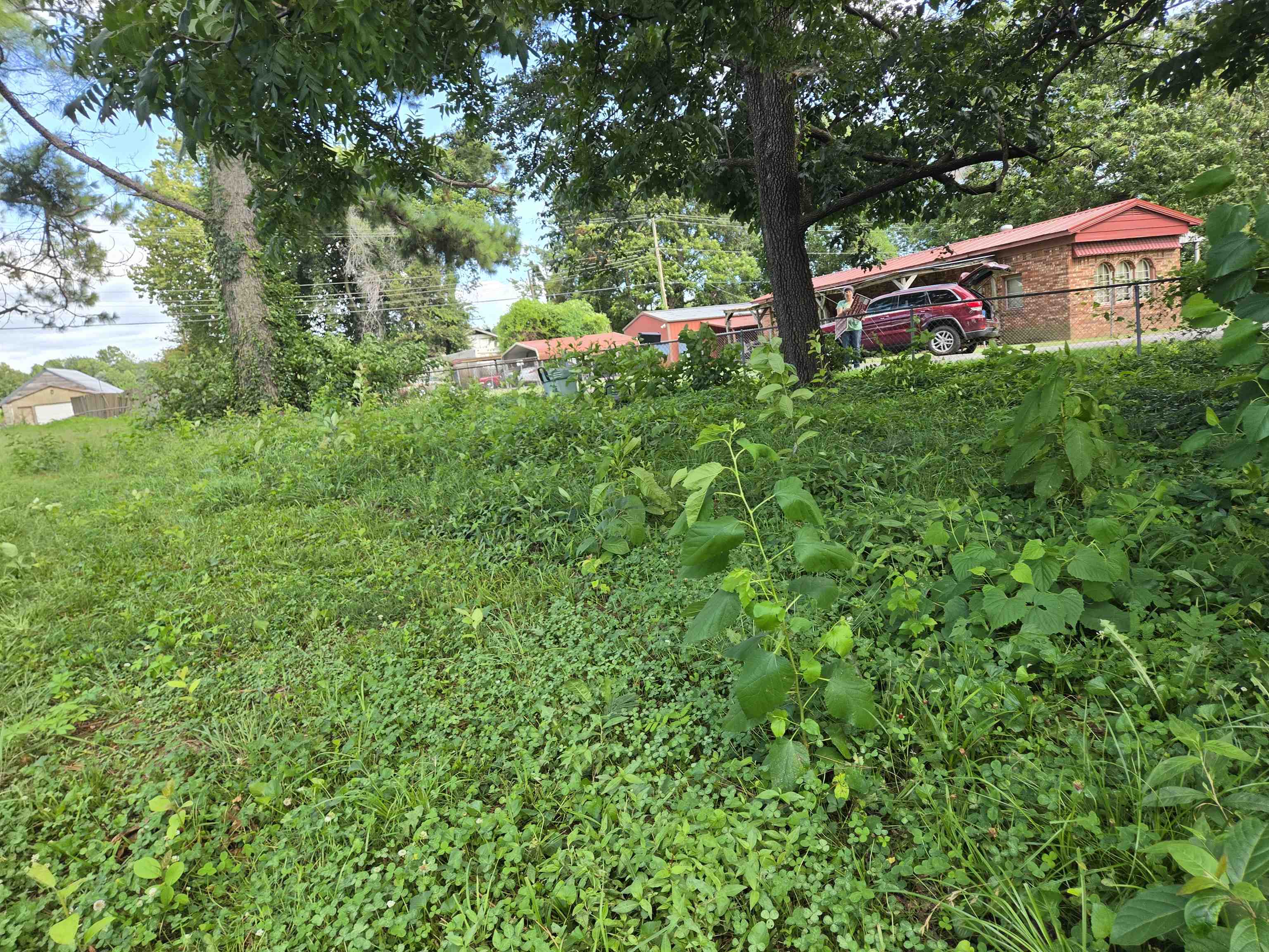3203 Opal Street Property Photo 14
