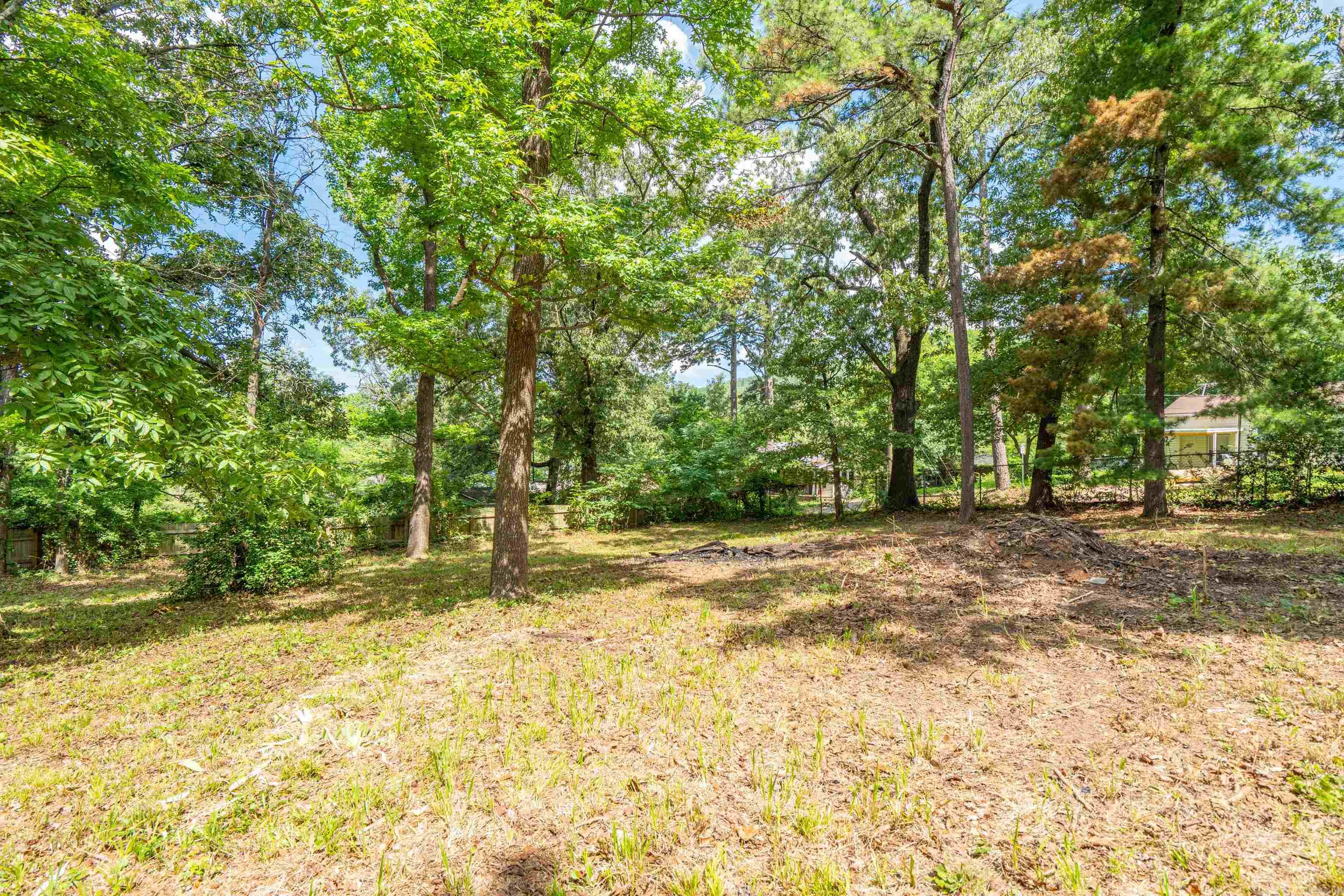 209 Avery Street Property Photo 19