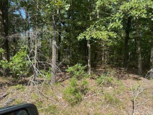 00 Wideman Road Property Photo 4