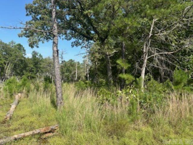 00 Wideman Road Property Photo 5