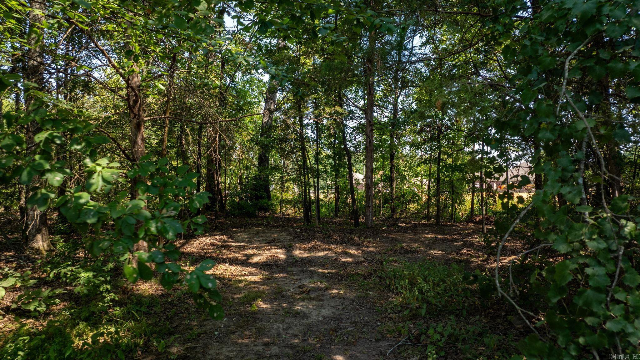 17 A & 21 Snowden Circle Property Photo 31