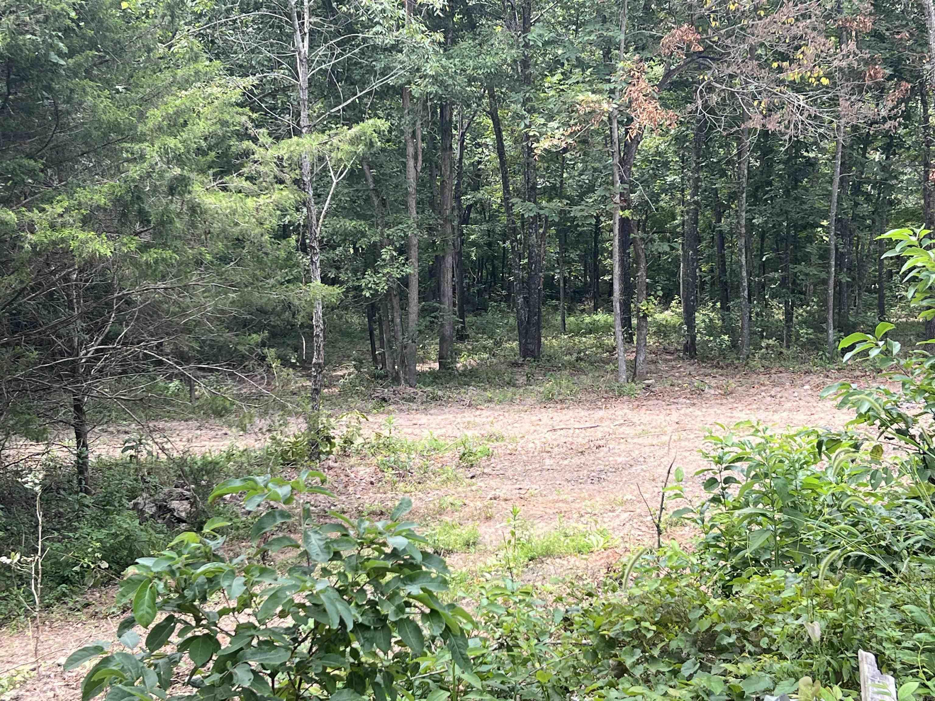 528 Black Oak Road Property Photo 7