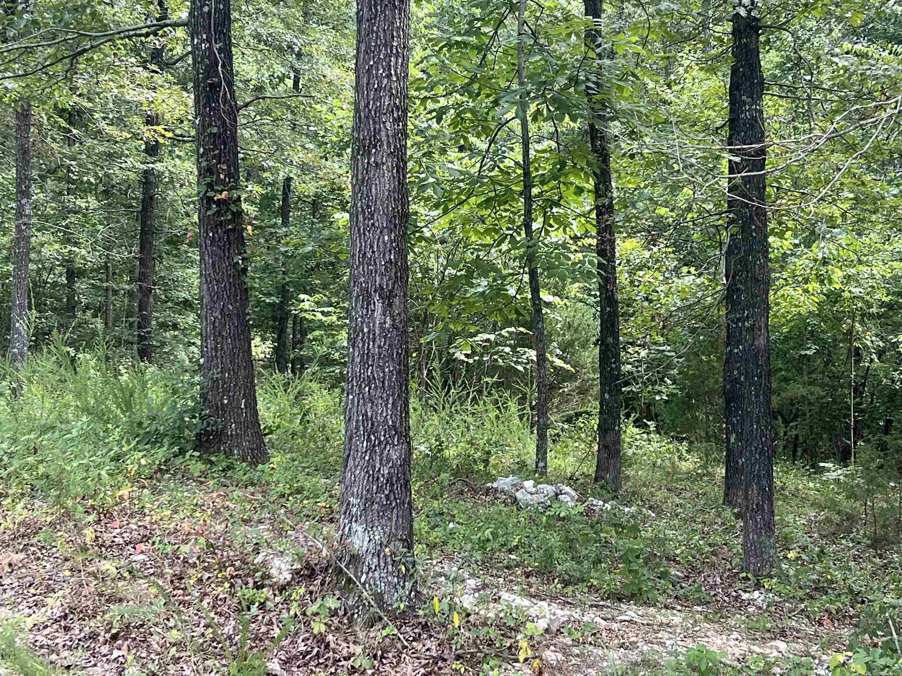528 Black Oak Road Property Photo 8