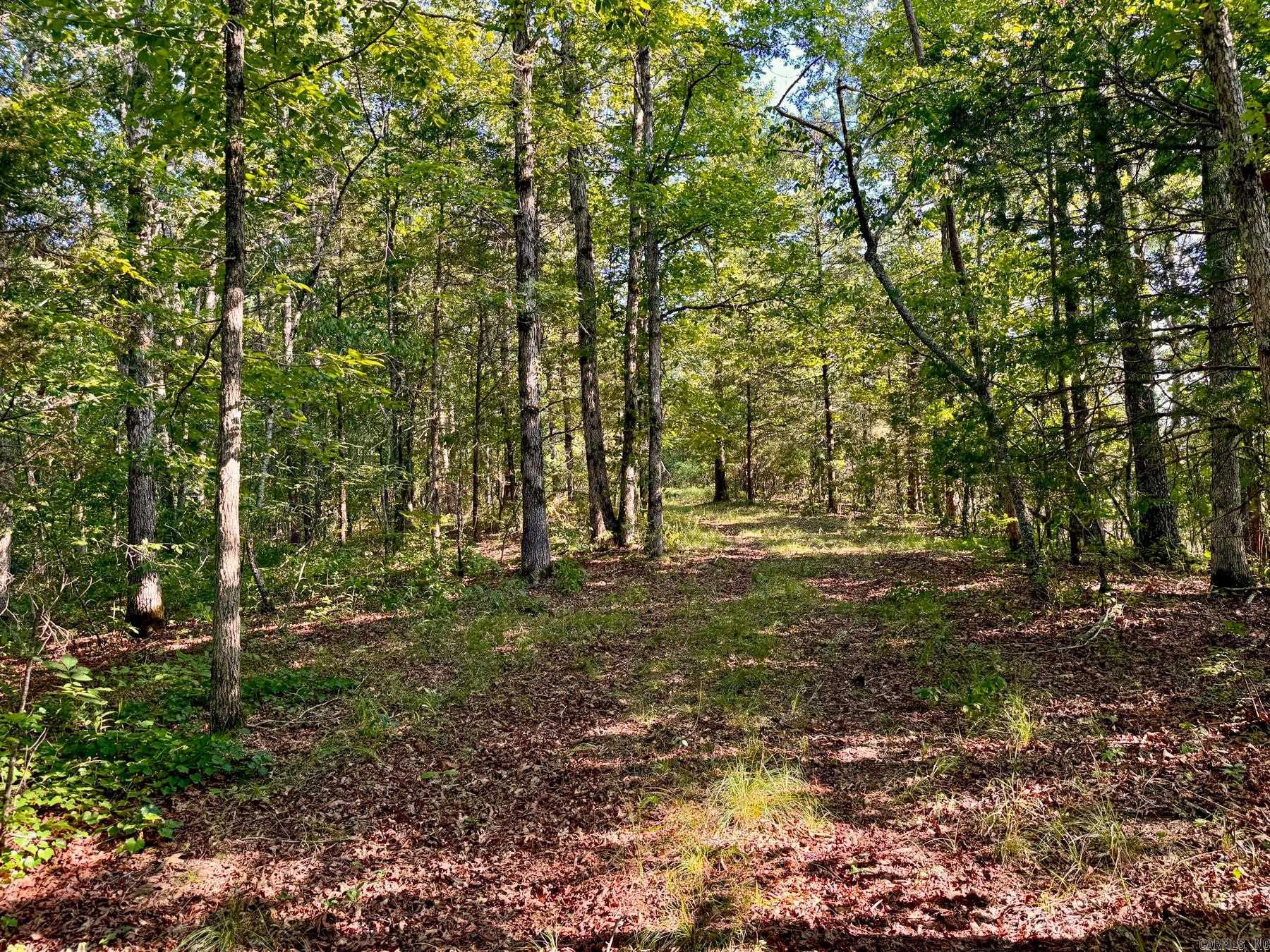 280 Holeyfield Road Property Photo 41