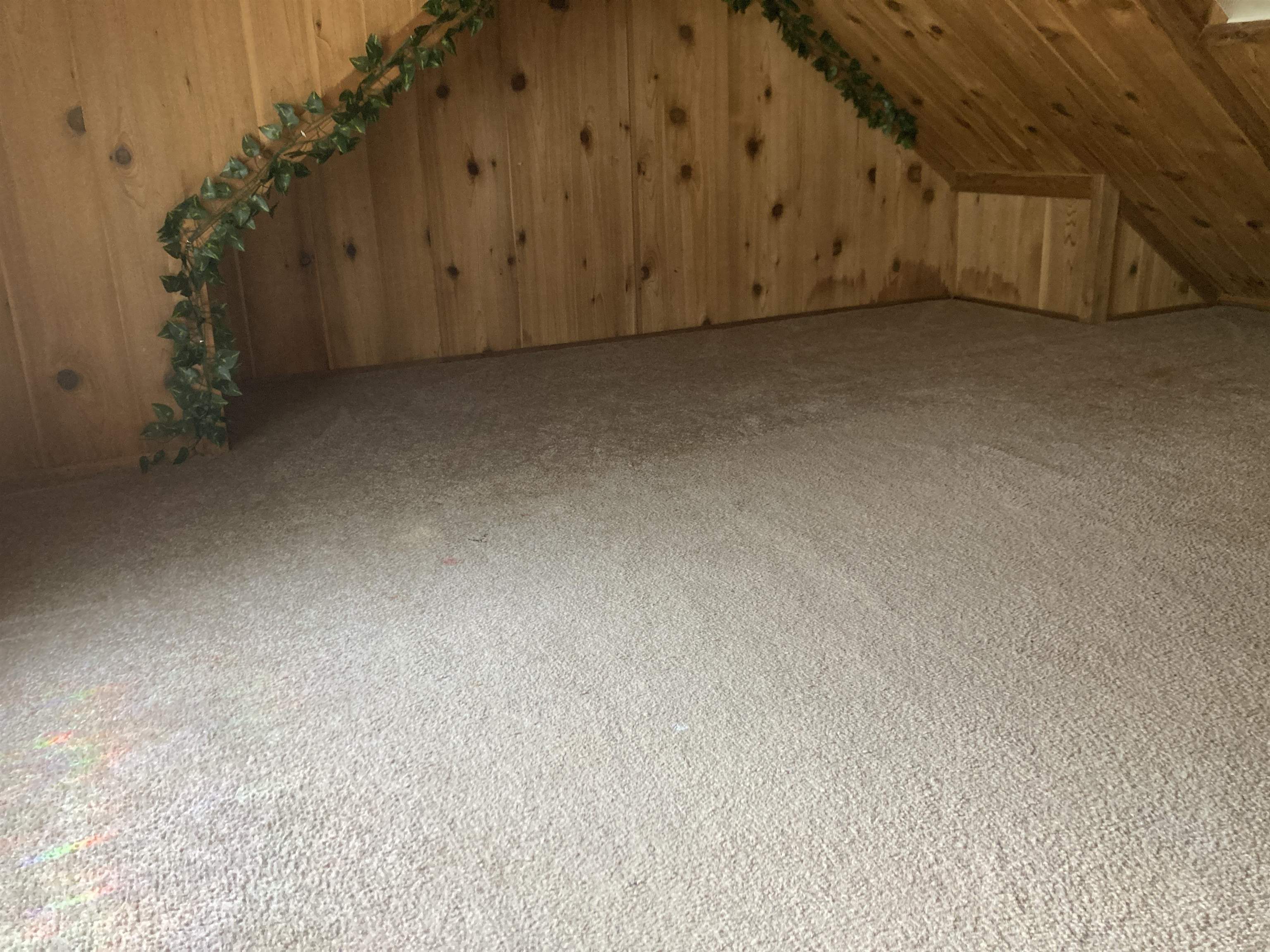 8766 Nine Mile Ridge Road Property Photo 13