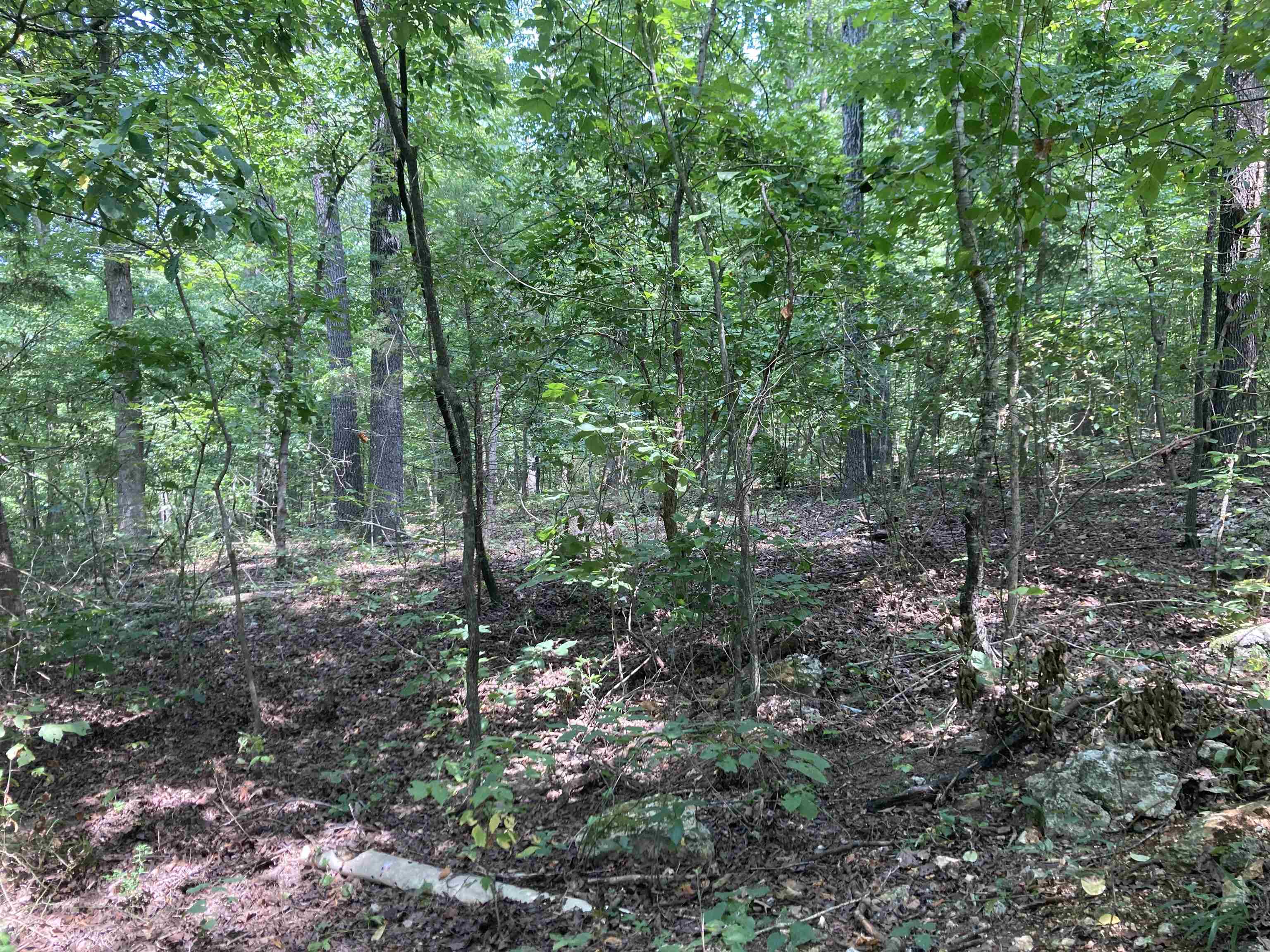 8766 Nine Mile Ridge Road Property Photo 22