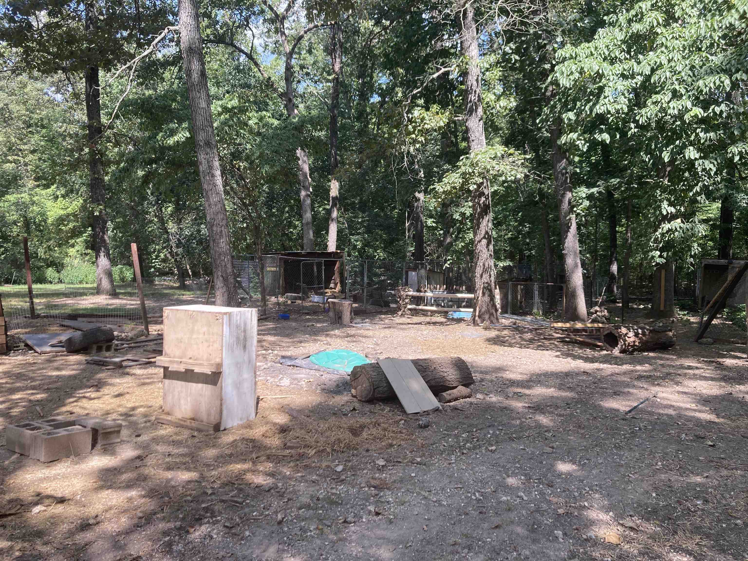 8766 Nine Mile Ridge Road Property Photo 23