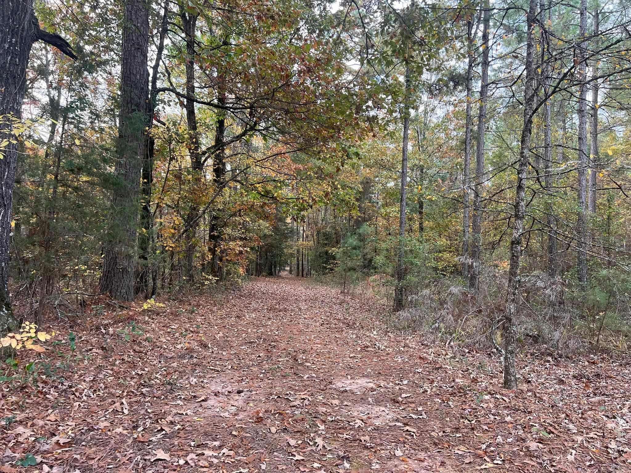 2327 Hwy 7n Property Photo 12