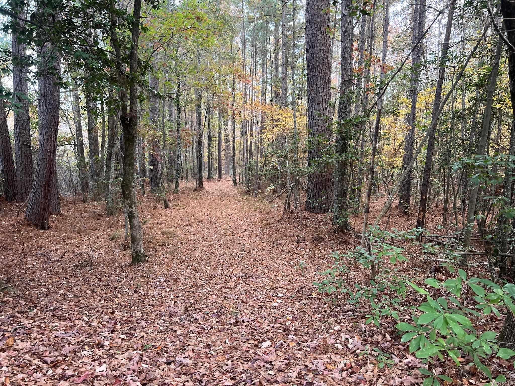 2327 Hwy 7n Property Photo 15