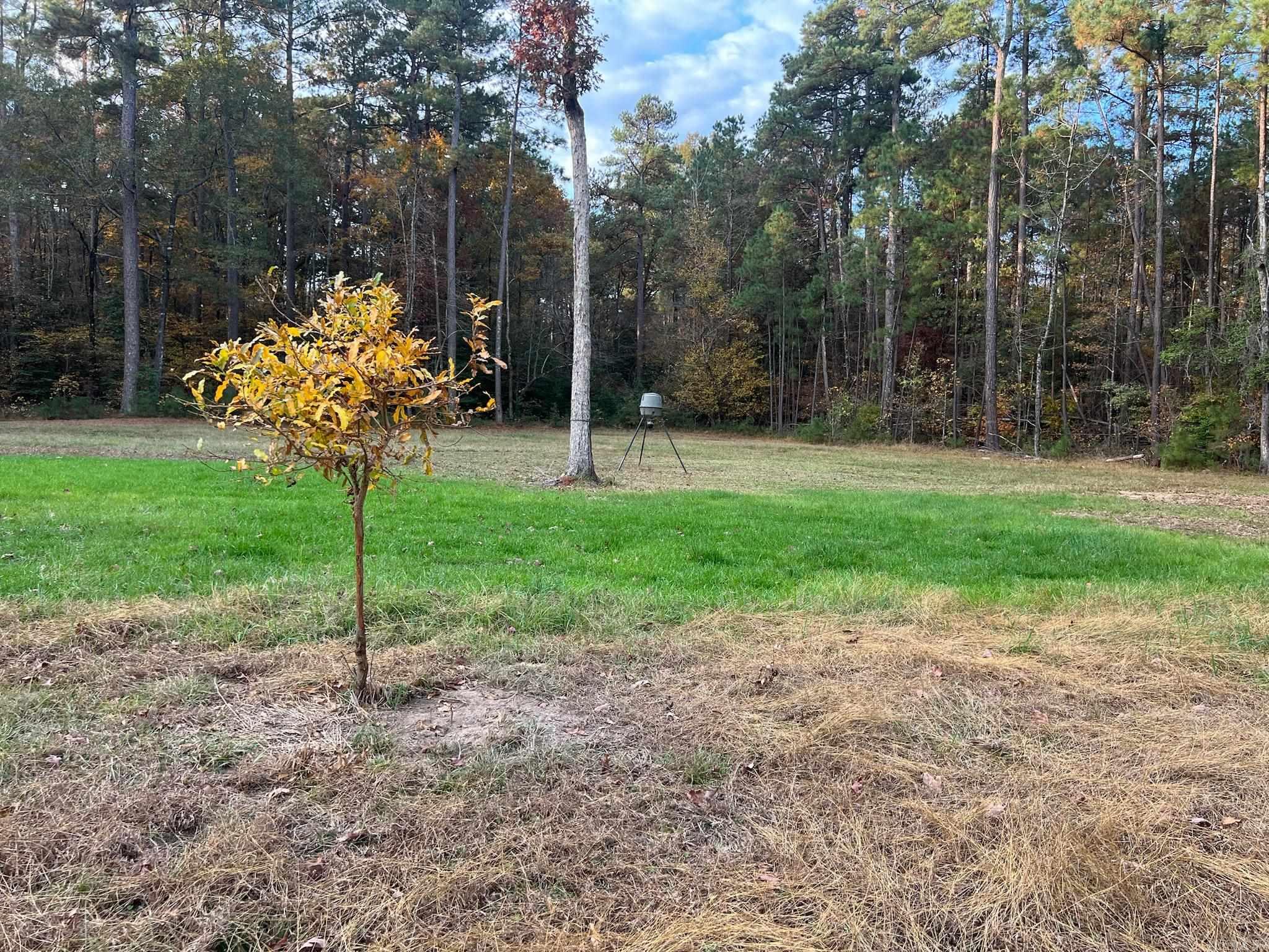 2327 Hwy 7n Property Photo 16
