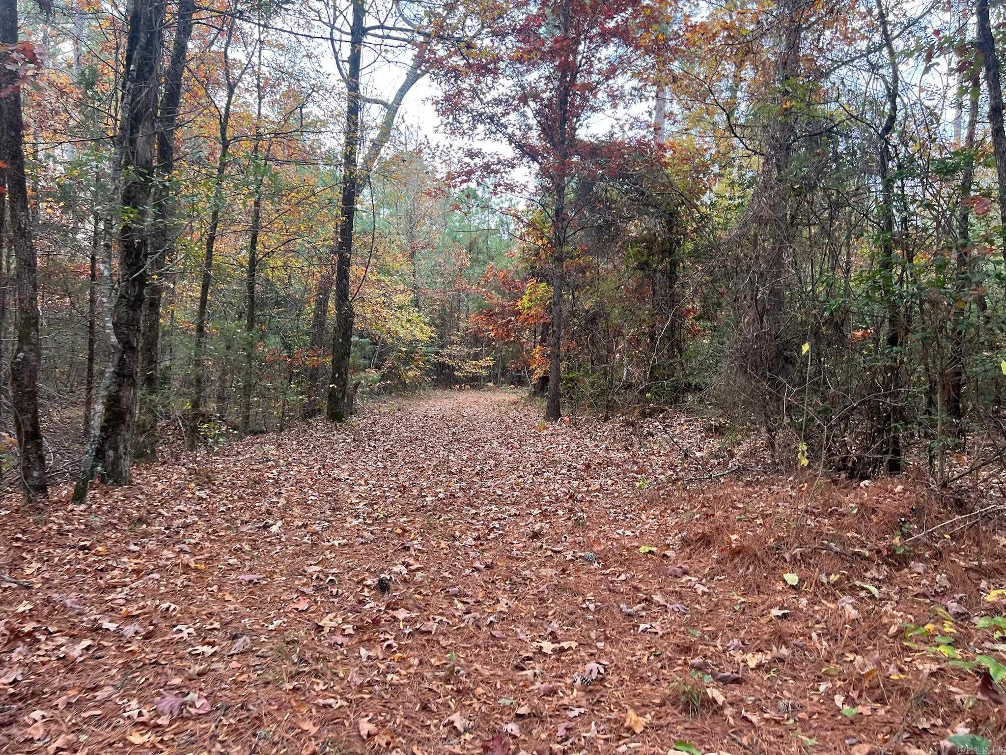 2327 Hwy 7n Property Photo 17