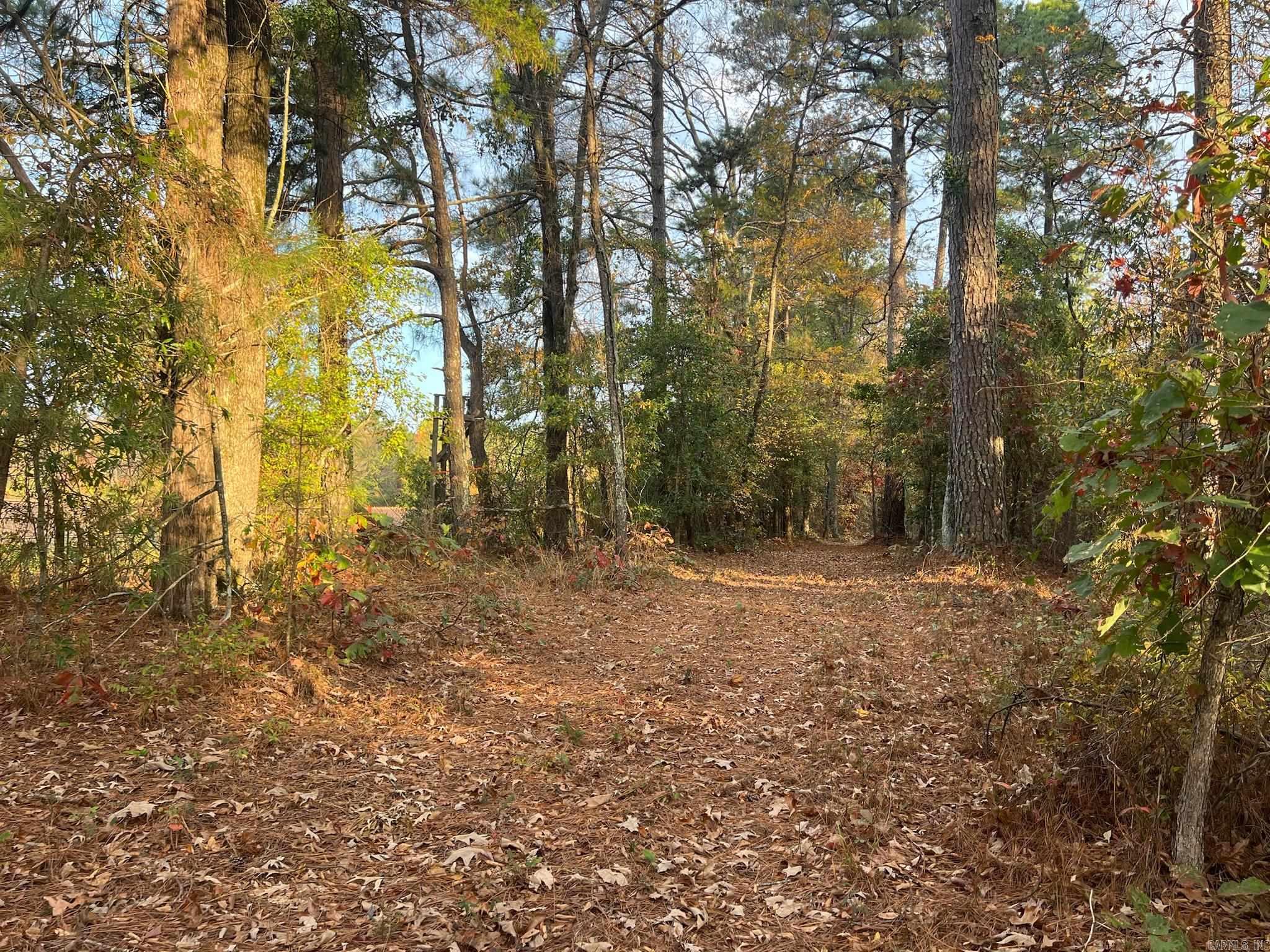 2327 Hwy 7n Property Photo 18