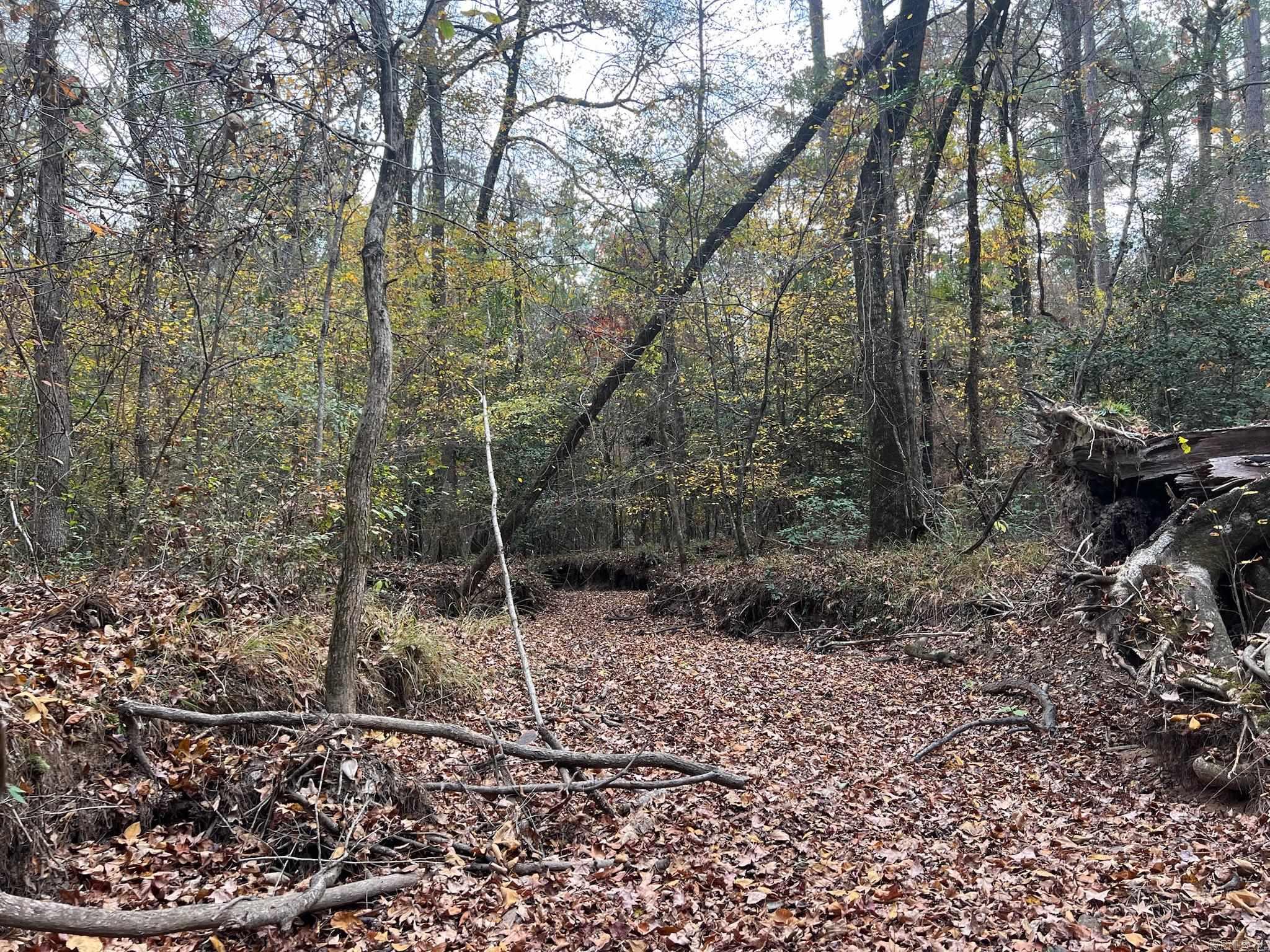 2327 Hwy 7n Property Photo 21