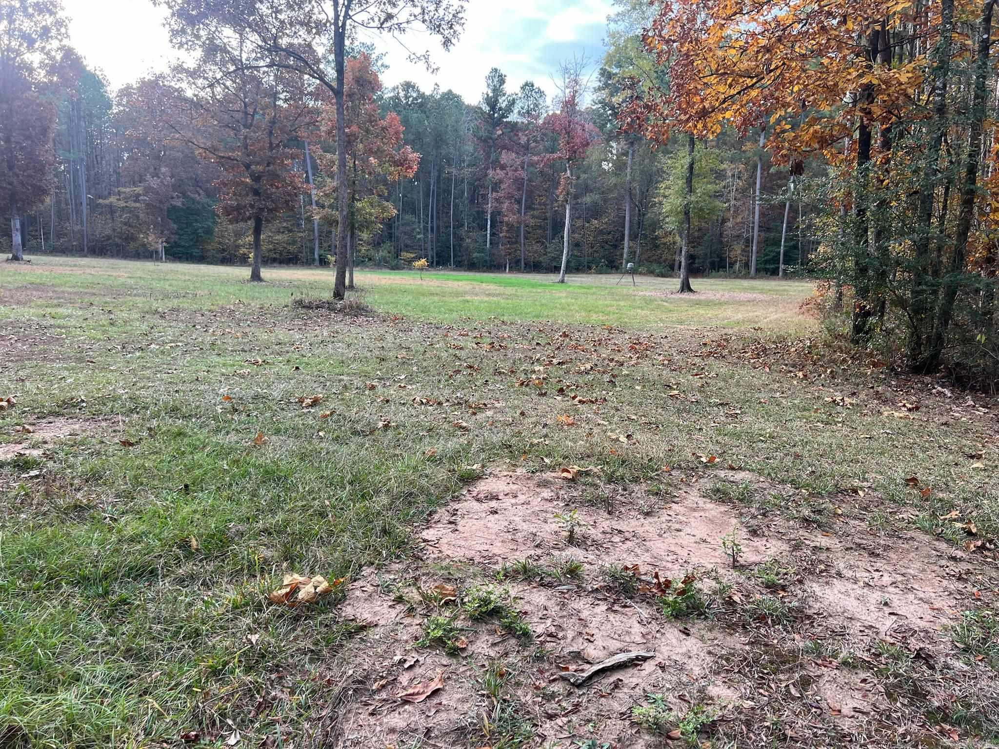 2327 Hwy 7n Property Photo 23