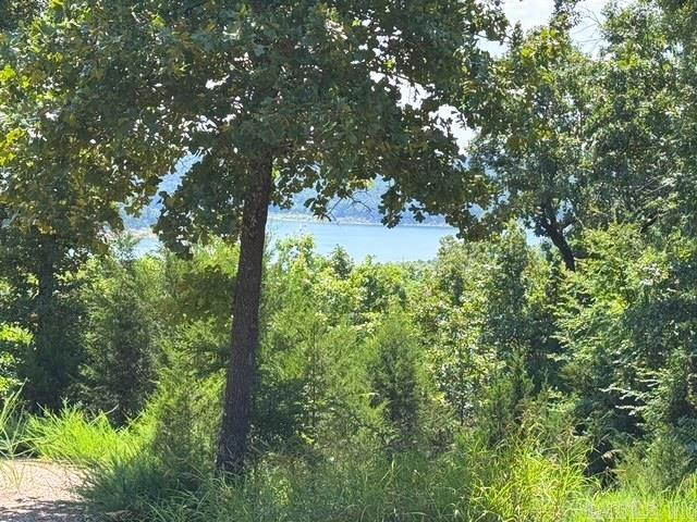 706 Blackjack Trail Property Photo 30