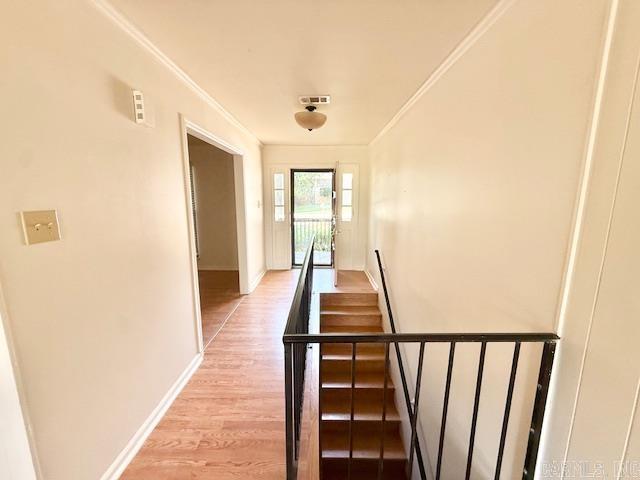 12301 Pleasant Forest Drive Property Photo 13