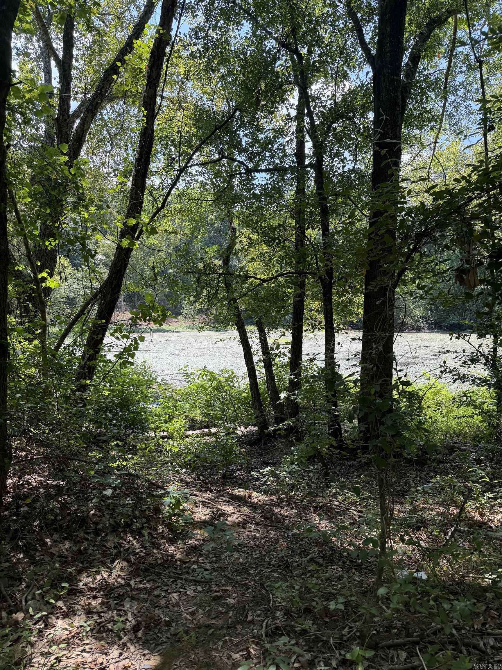 000 State Highway 22 Property Photo 4