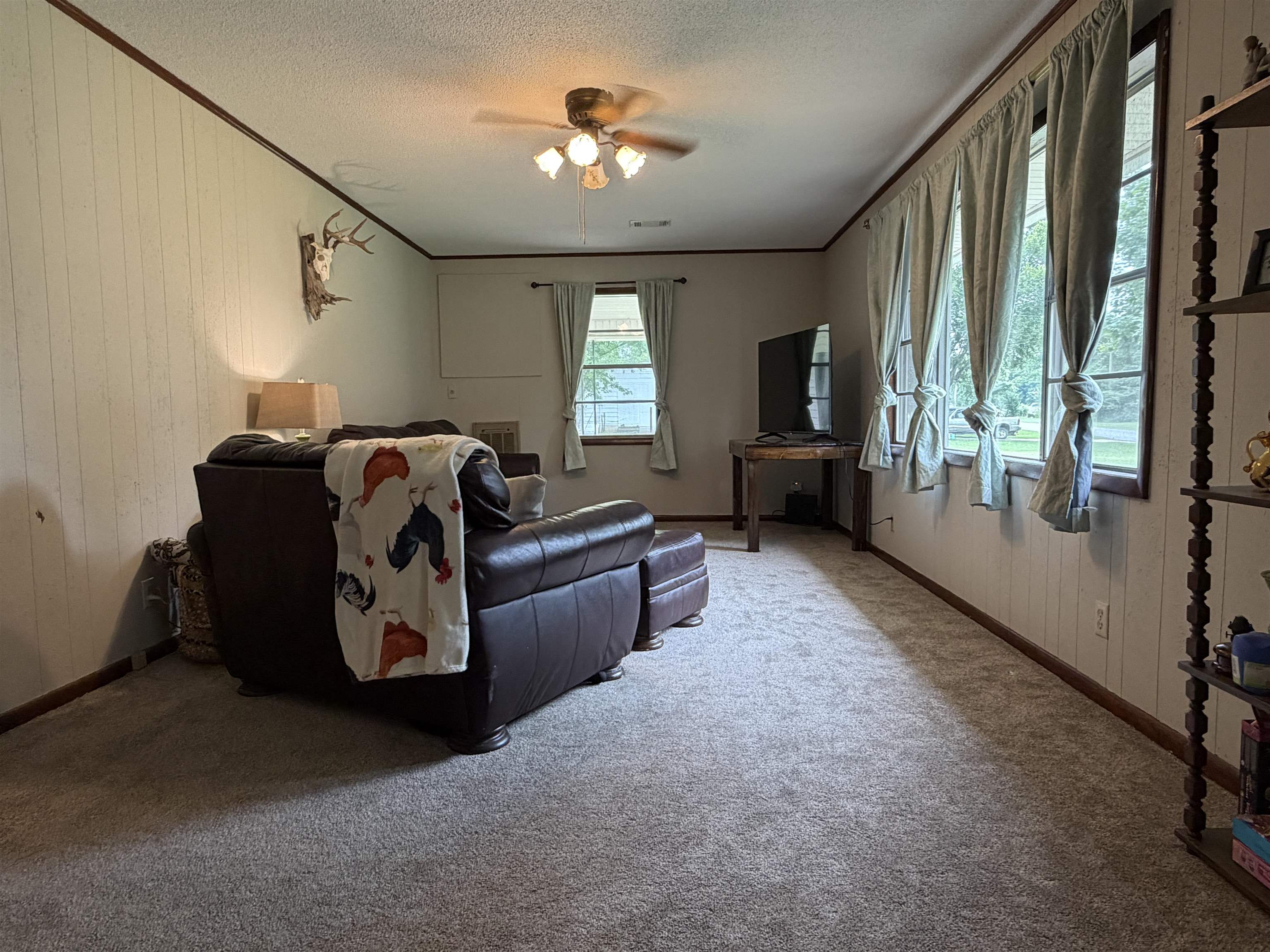 439 Haley St. Property Photo 12