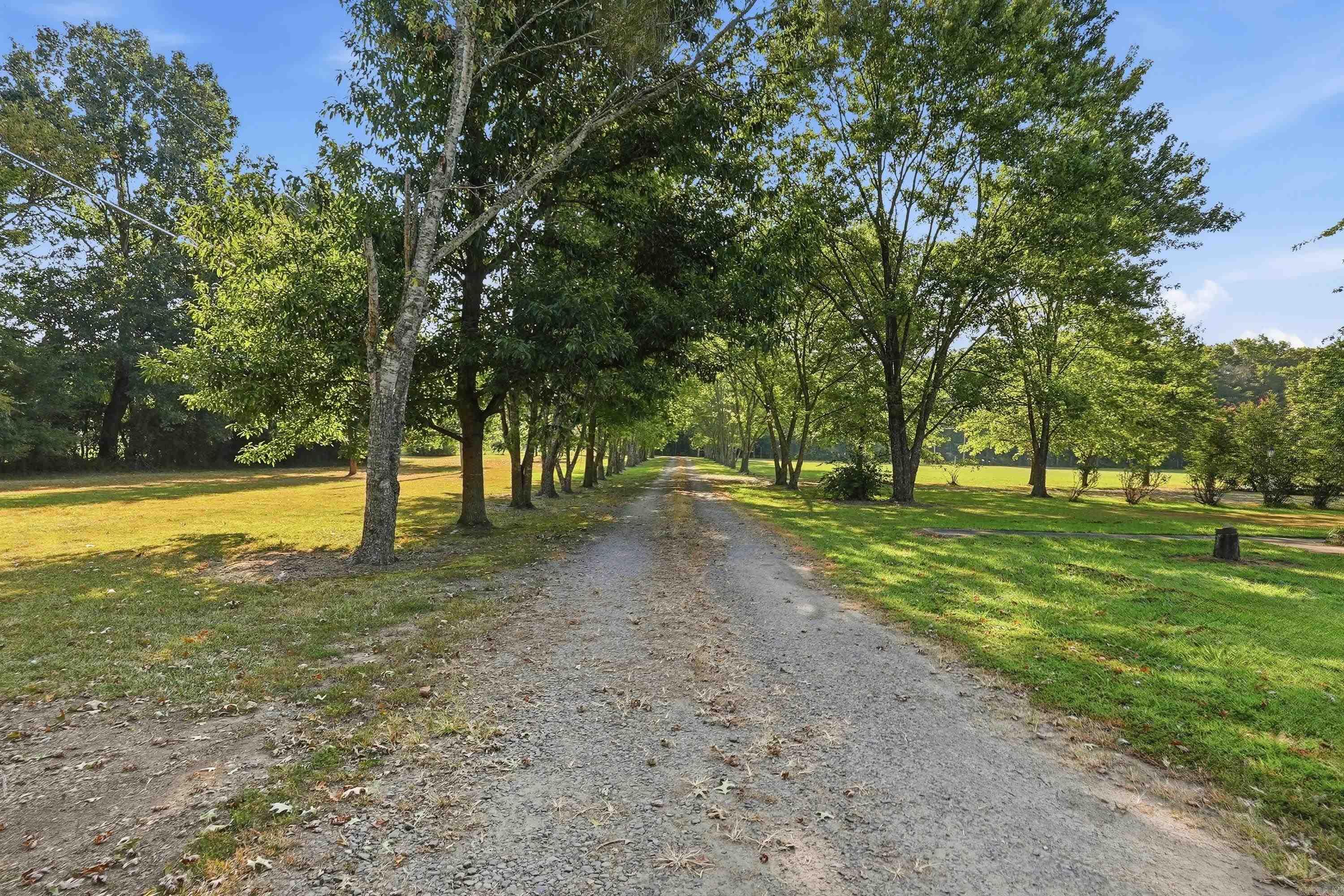 71 Gorman Property Photo 4