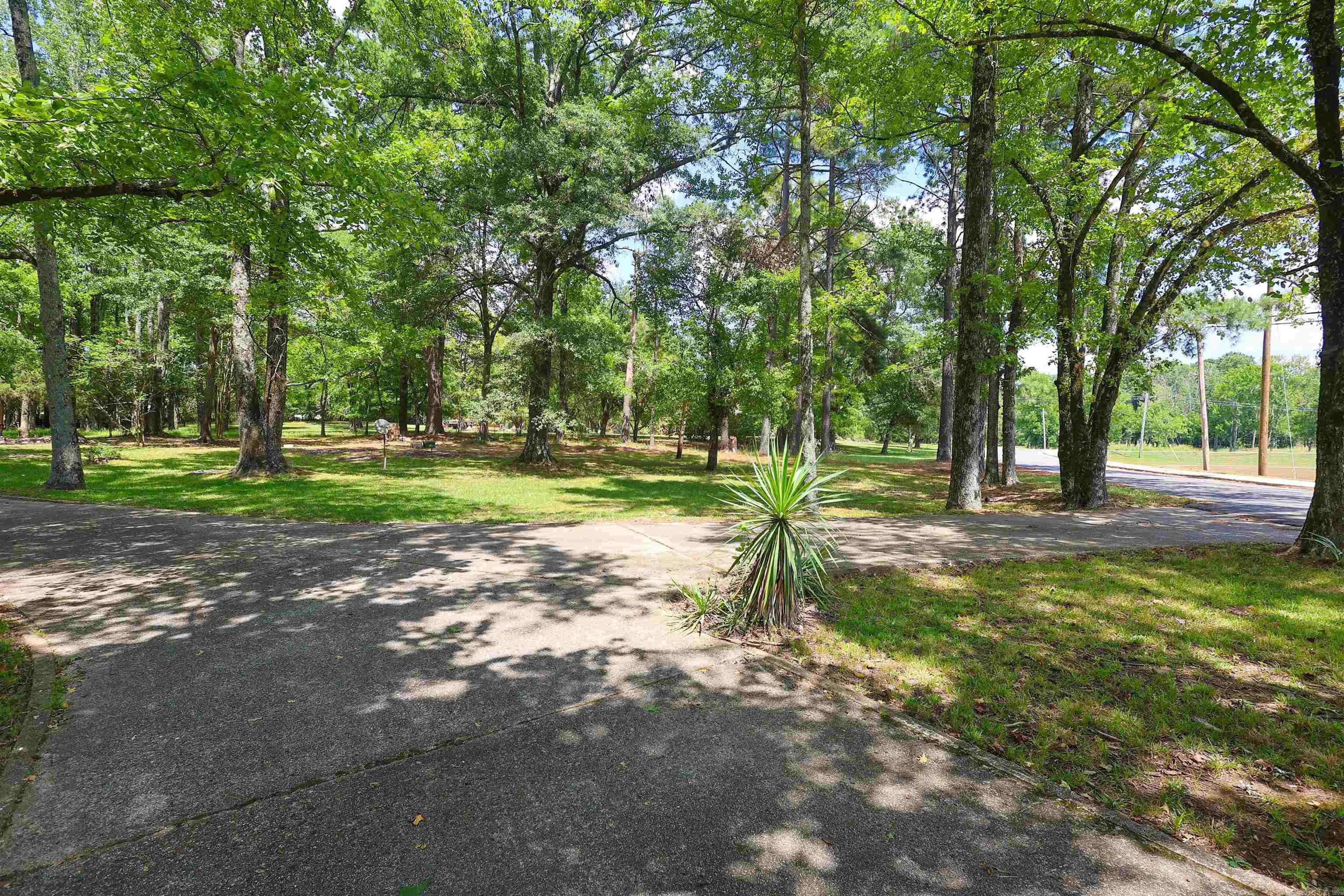228 Park St. Property Photo 46