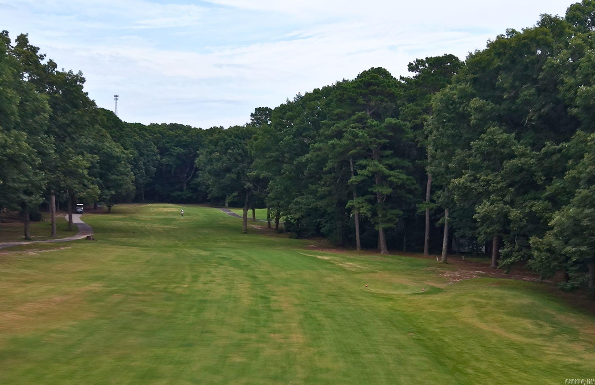 103 Blue Ridge Court Property Photo 30