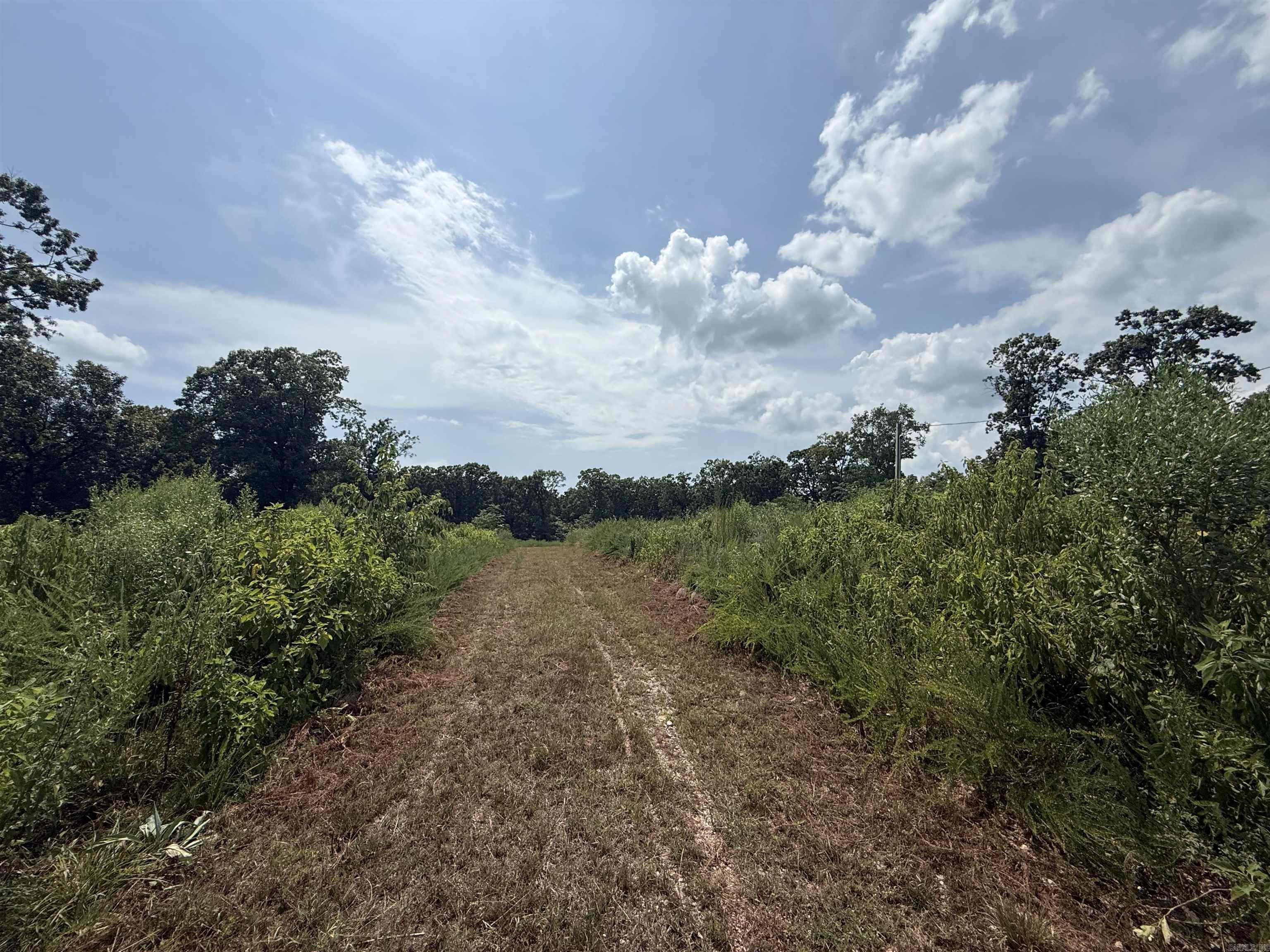 Tbd Copperhead Drive Property Photo 3