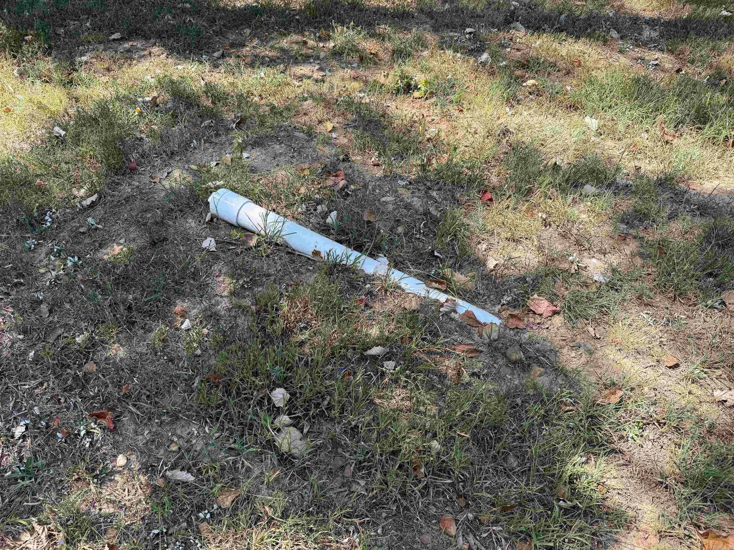 1008 Oak St. Property Photo 5