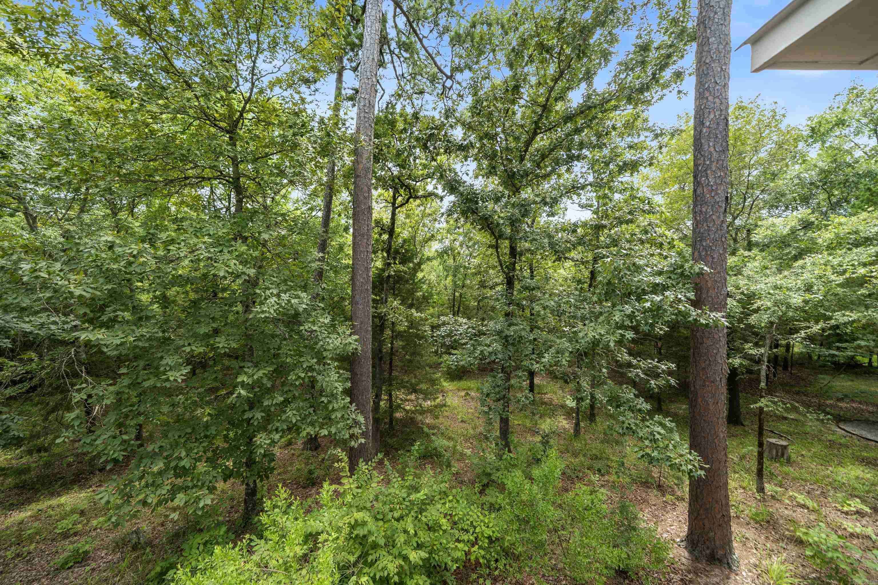 11 Arista Lane Property Photo 46