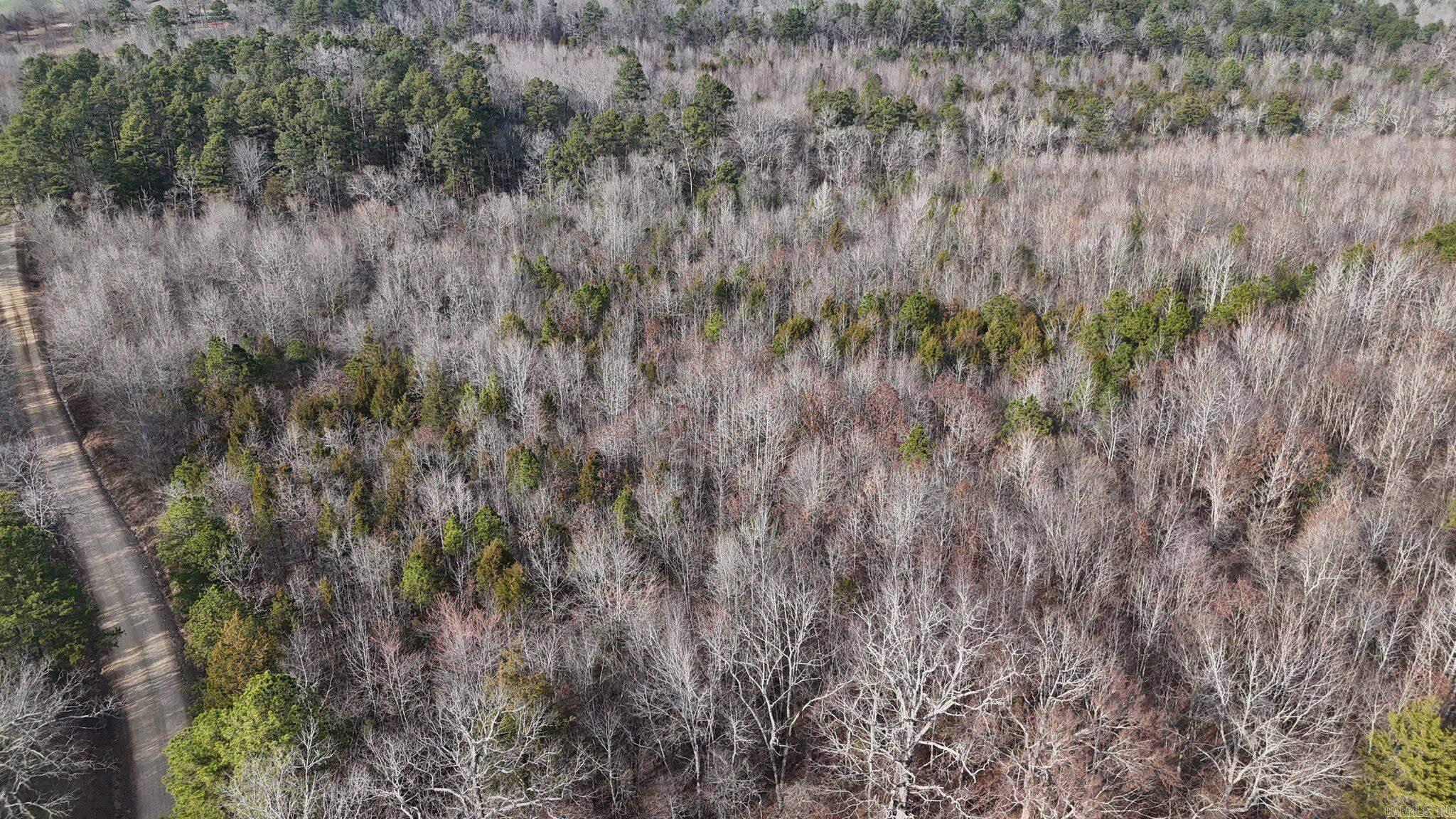 Tbd Polk Road 95 Property Photo 7