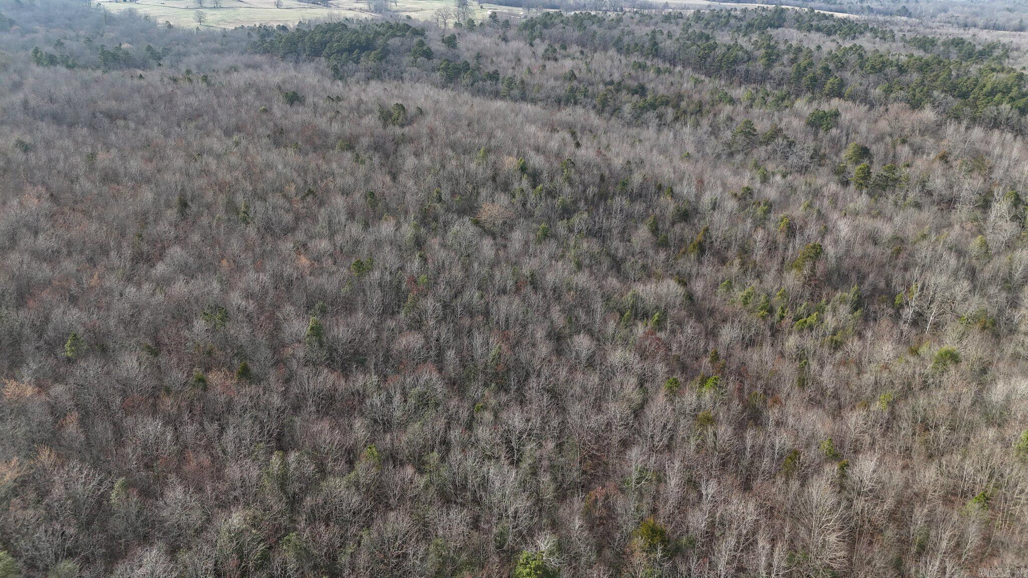 Tbd Tract 4 Polk Road 48 Property Photo 19