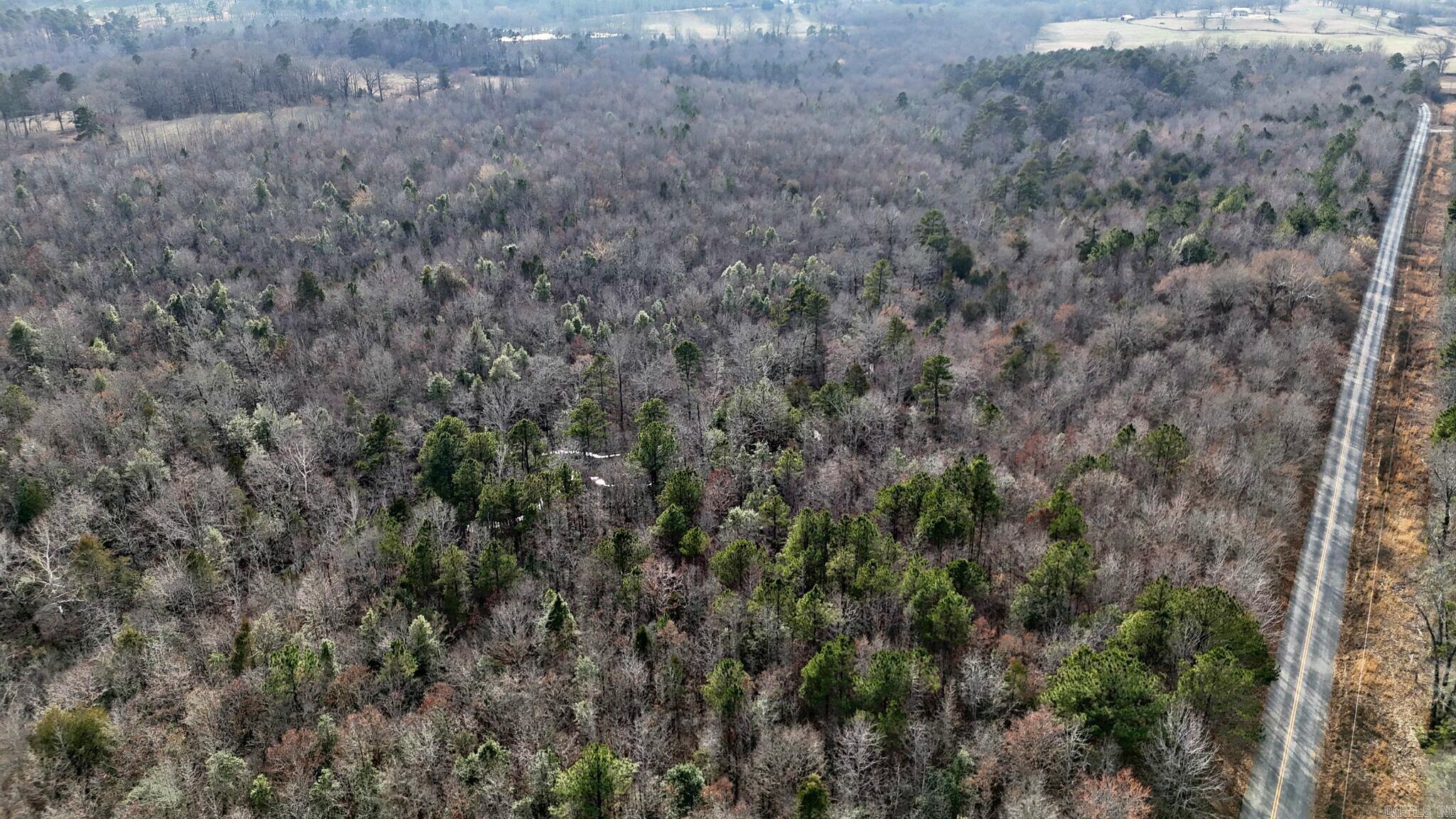 Tract 1 Polk Road 95 Property Photo 5