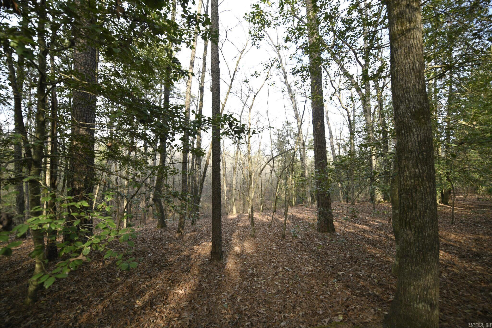 Tract 3 Polk Road 95 Property Photo 10