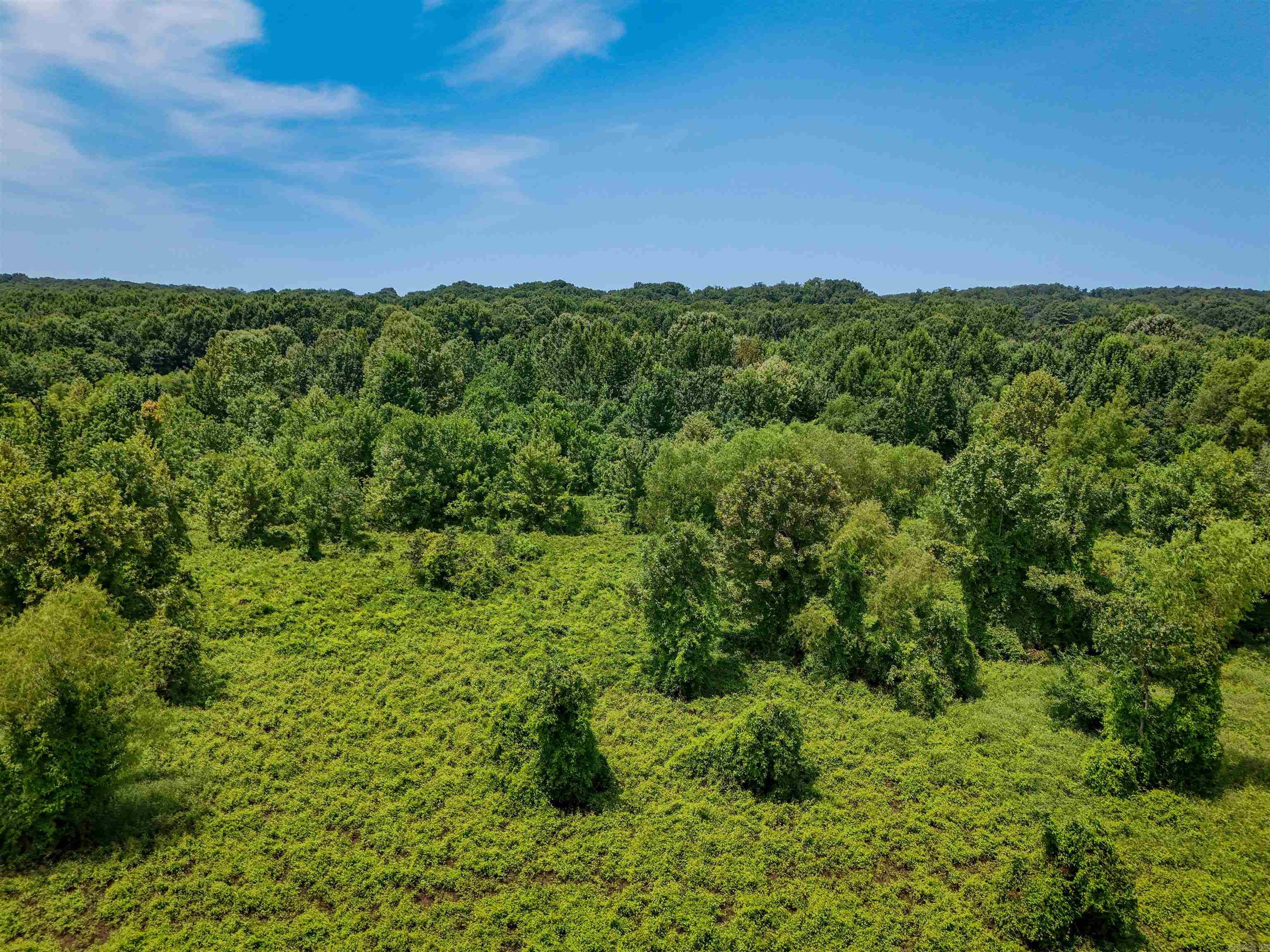Highway 163 Property Photo 4