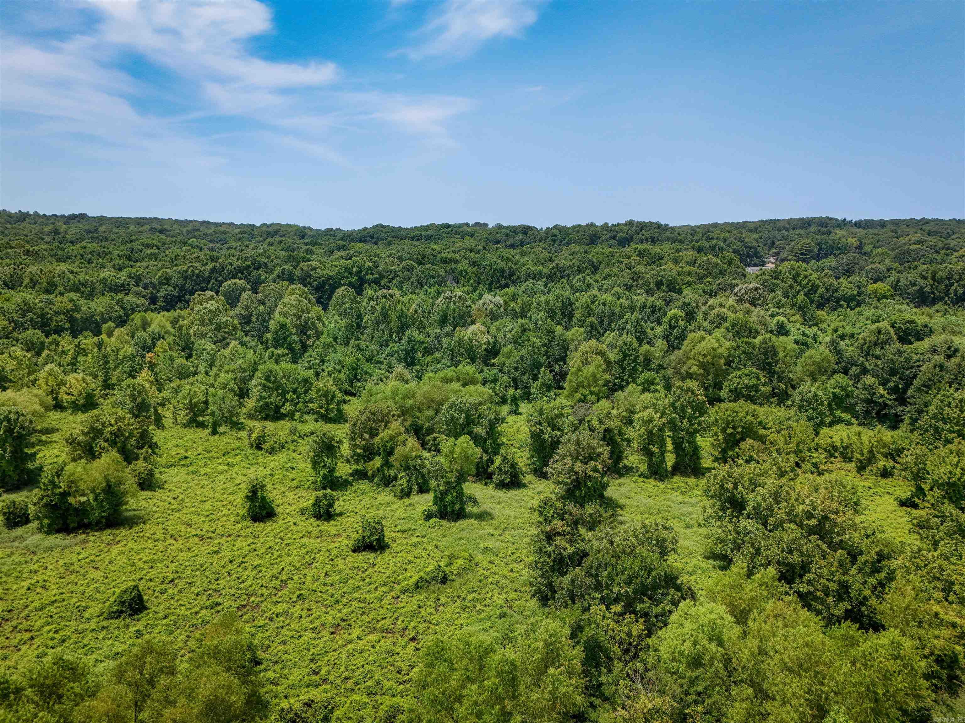 Highway 163 Property Photo 5